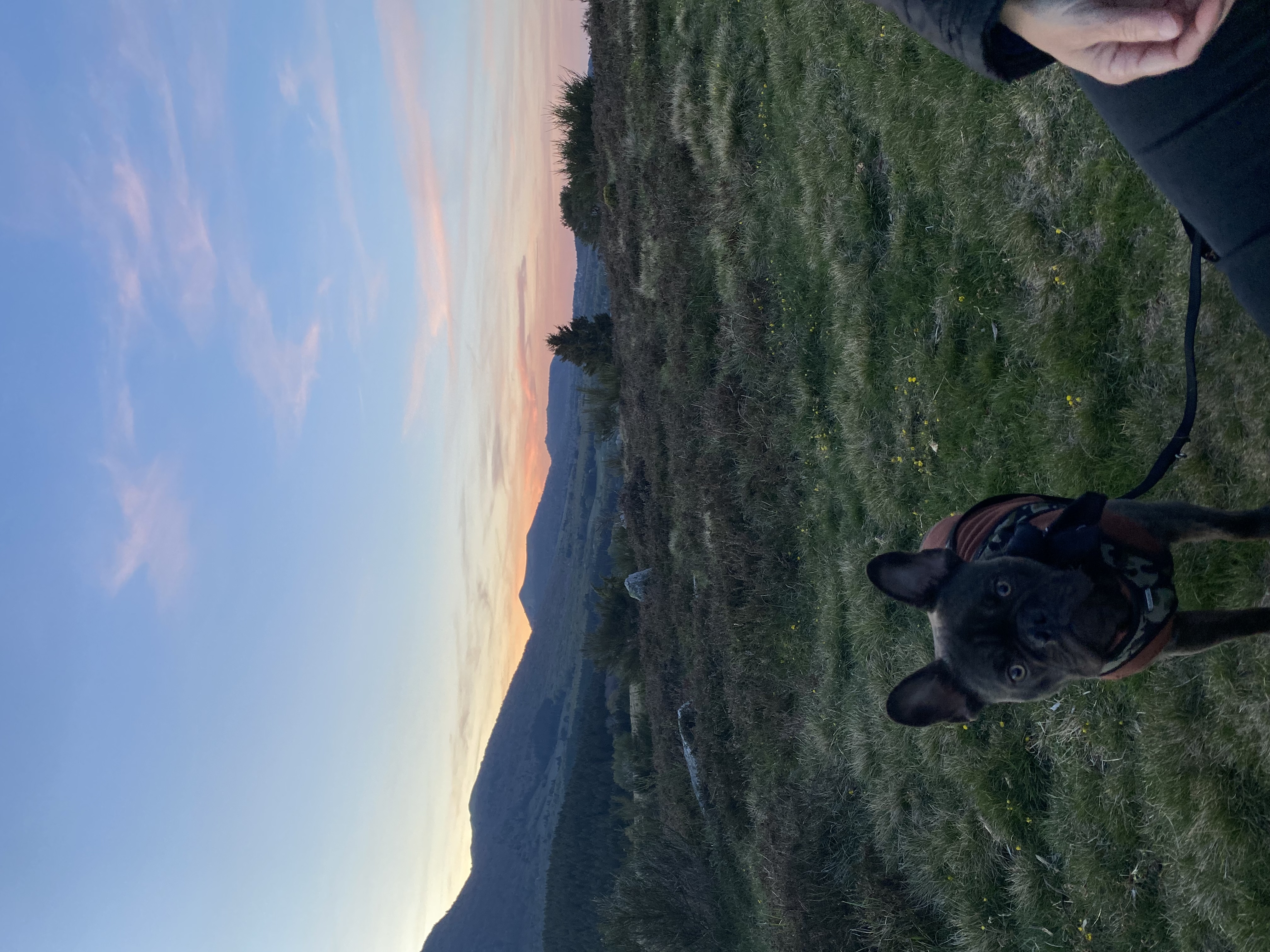 image-6