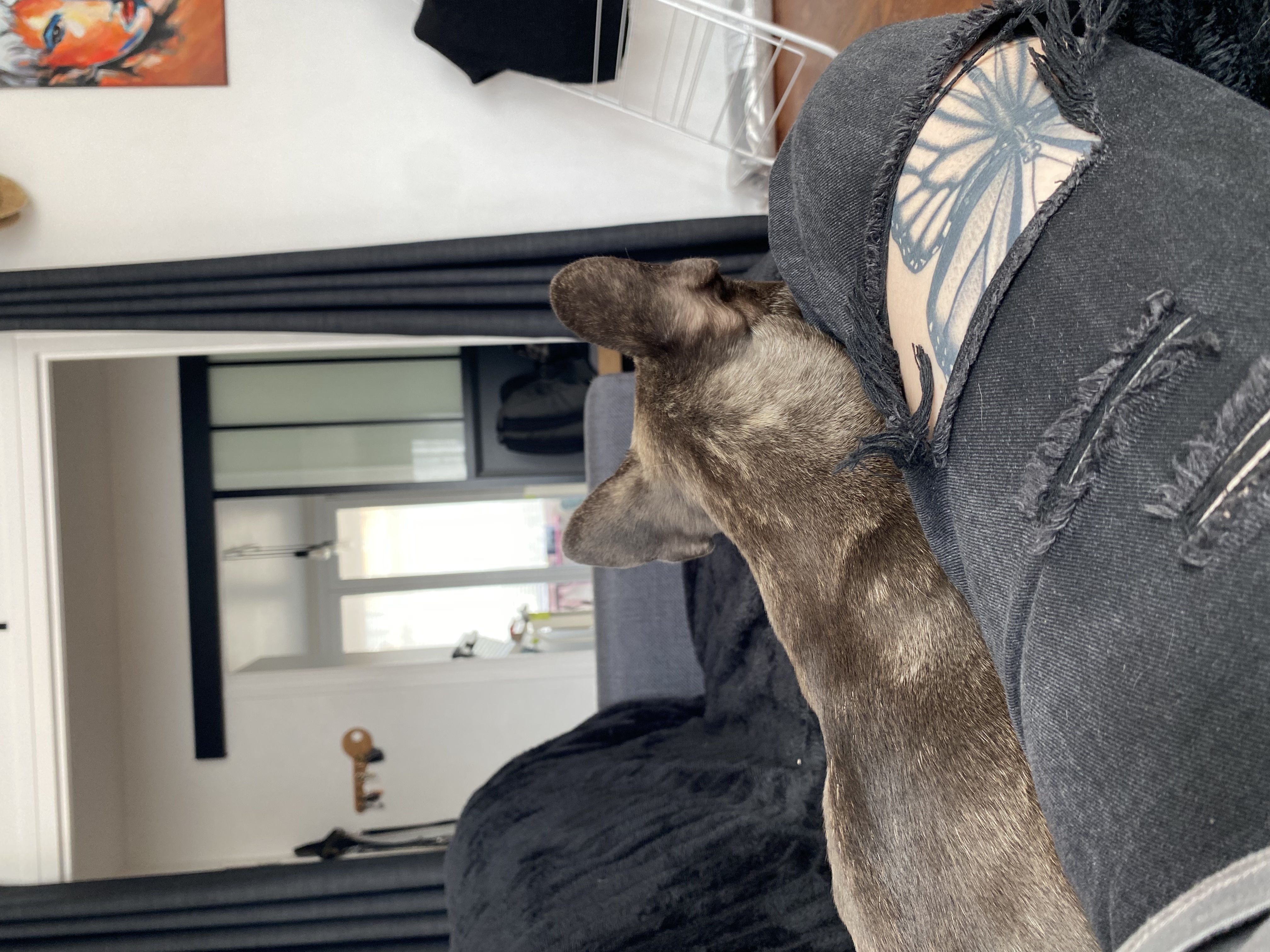 image-7