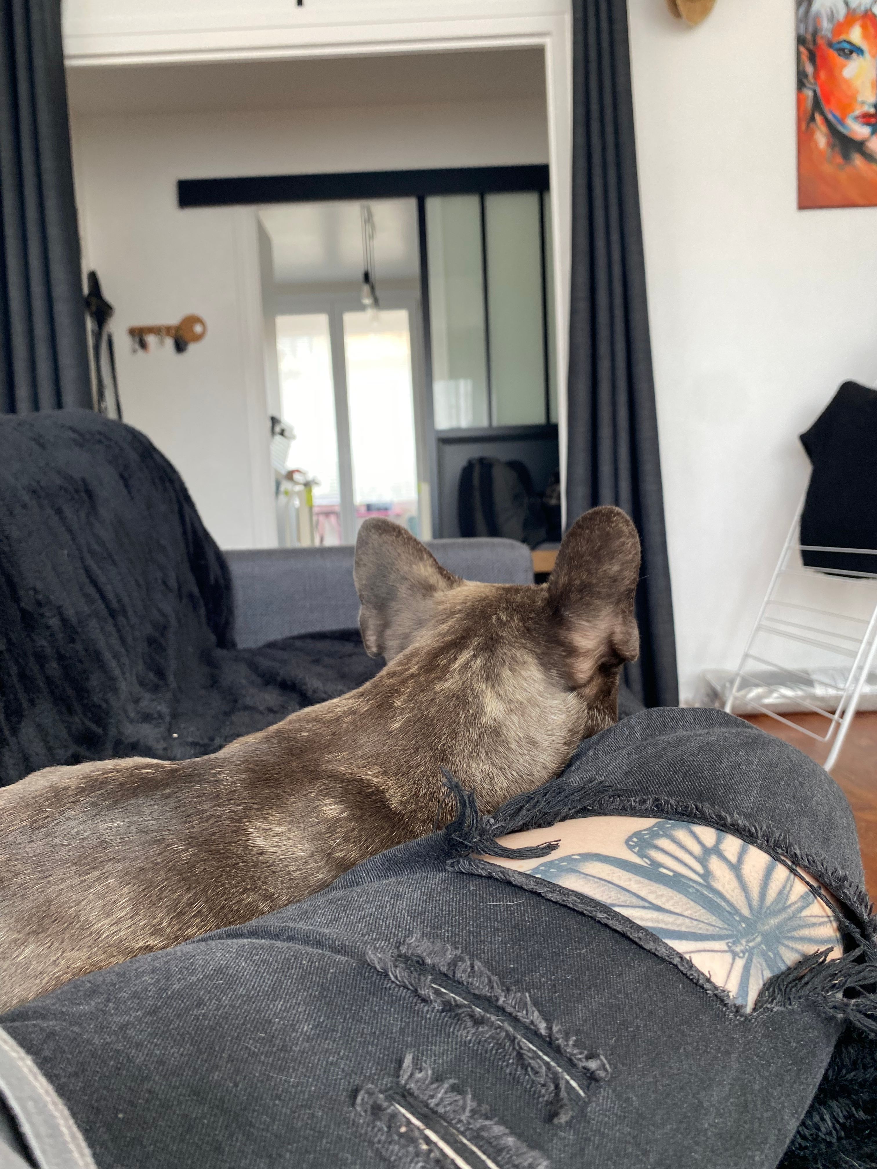 image-7