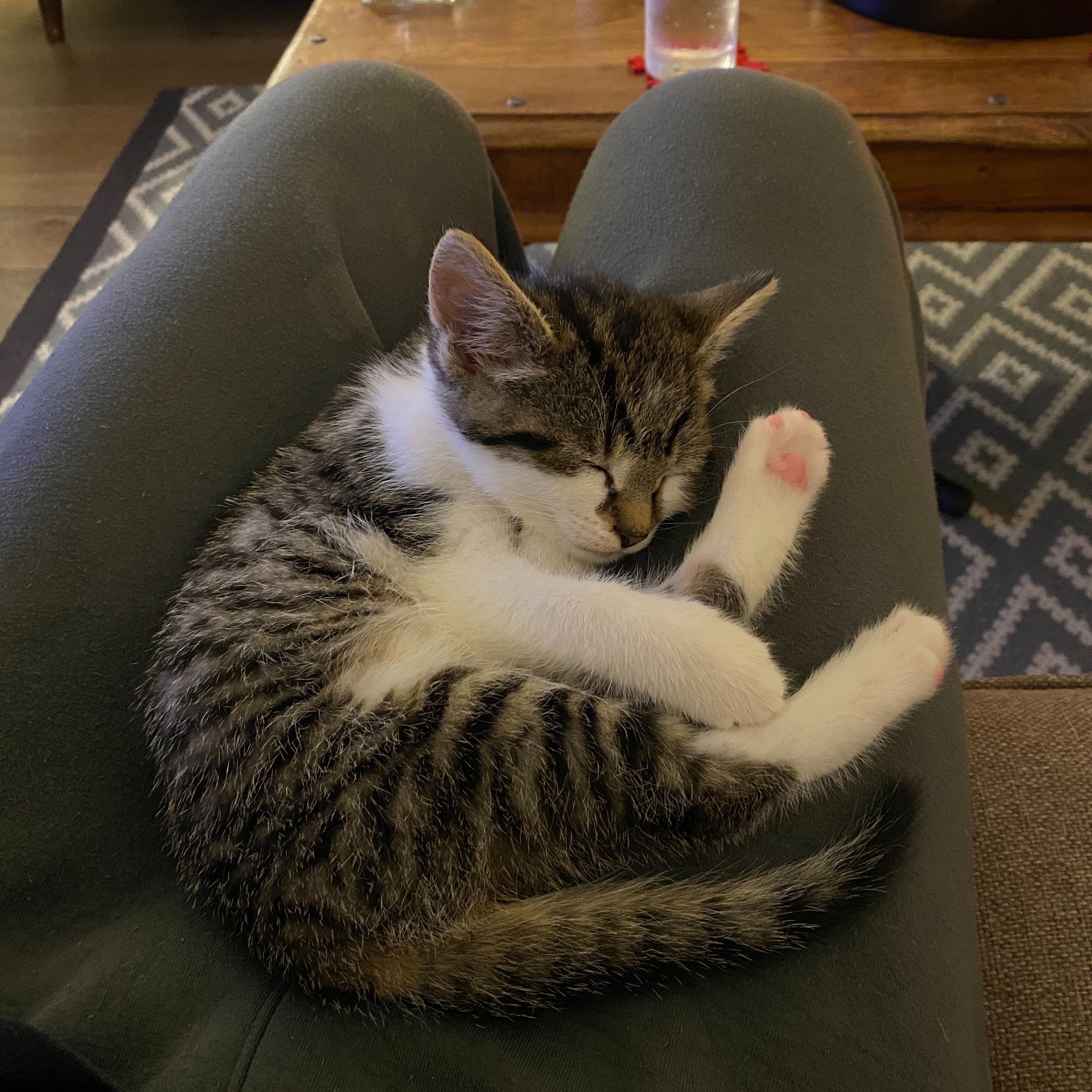 Missy