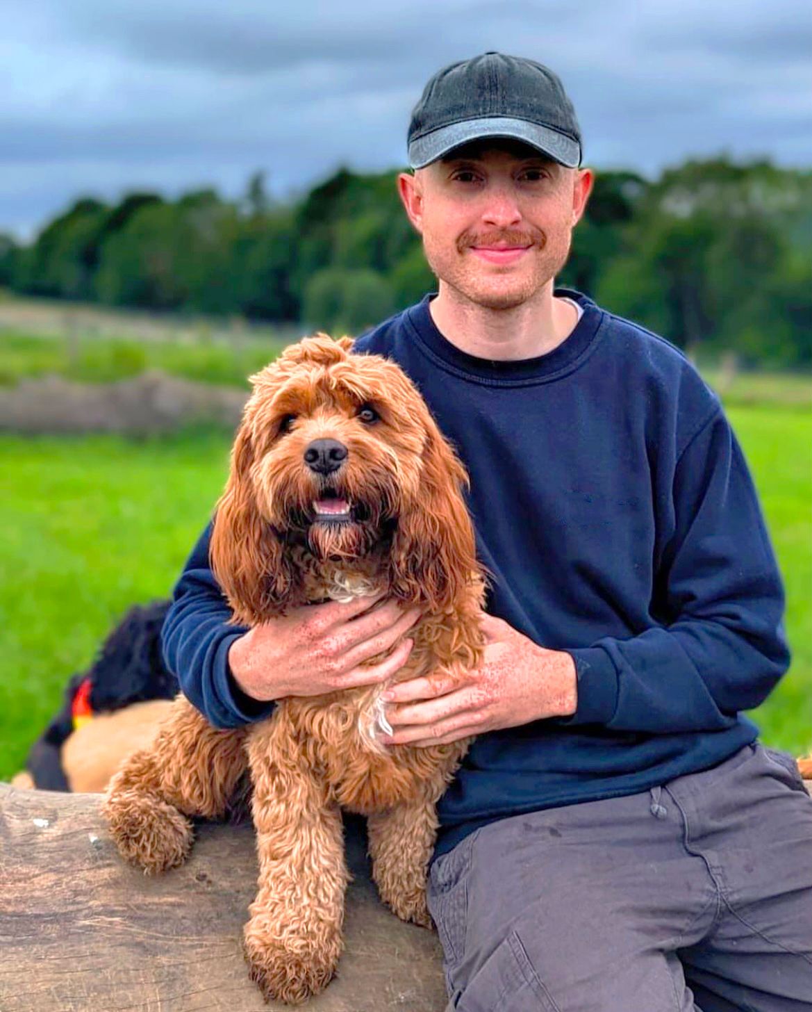 image-3