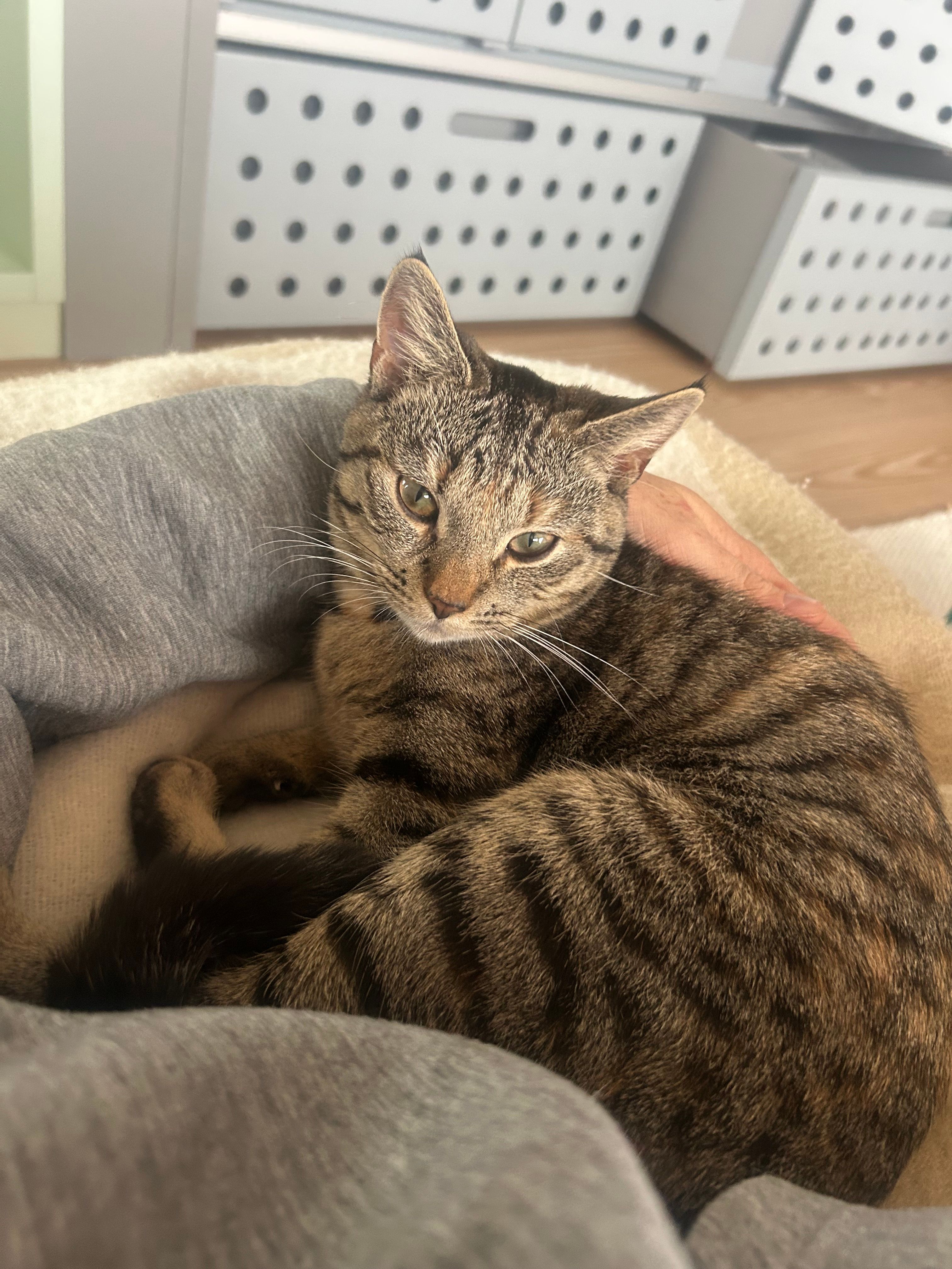 image-8