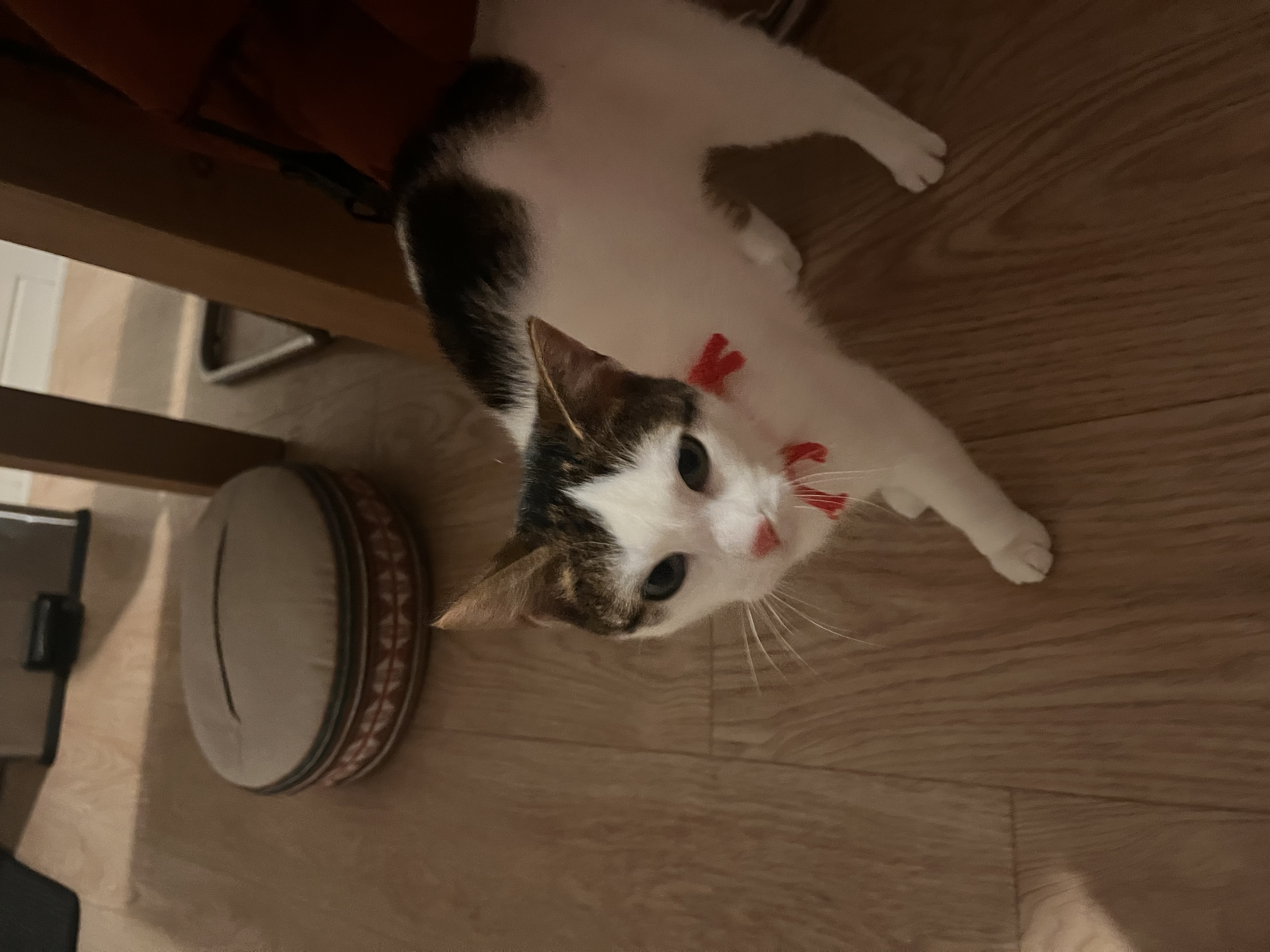 image-6