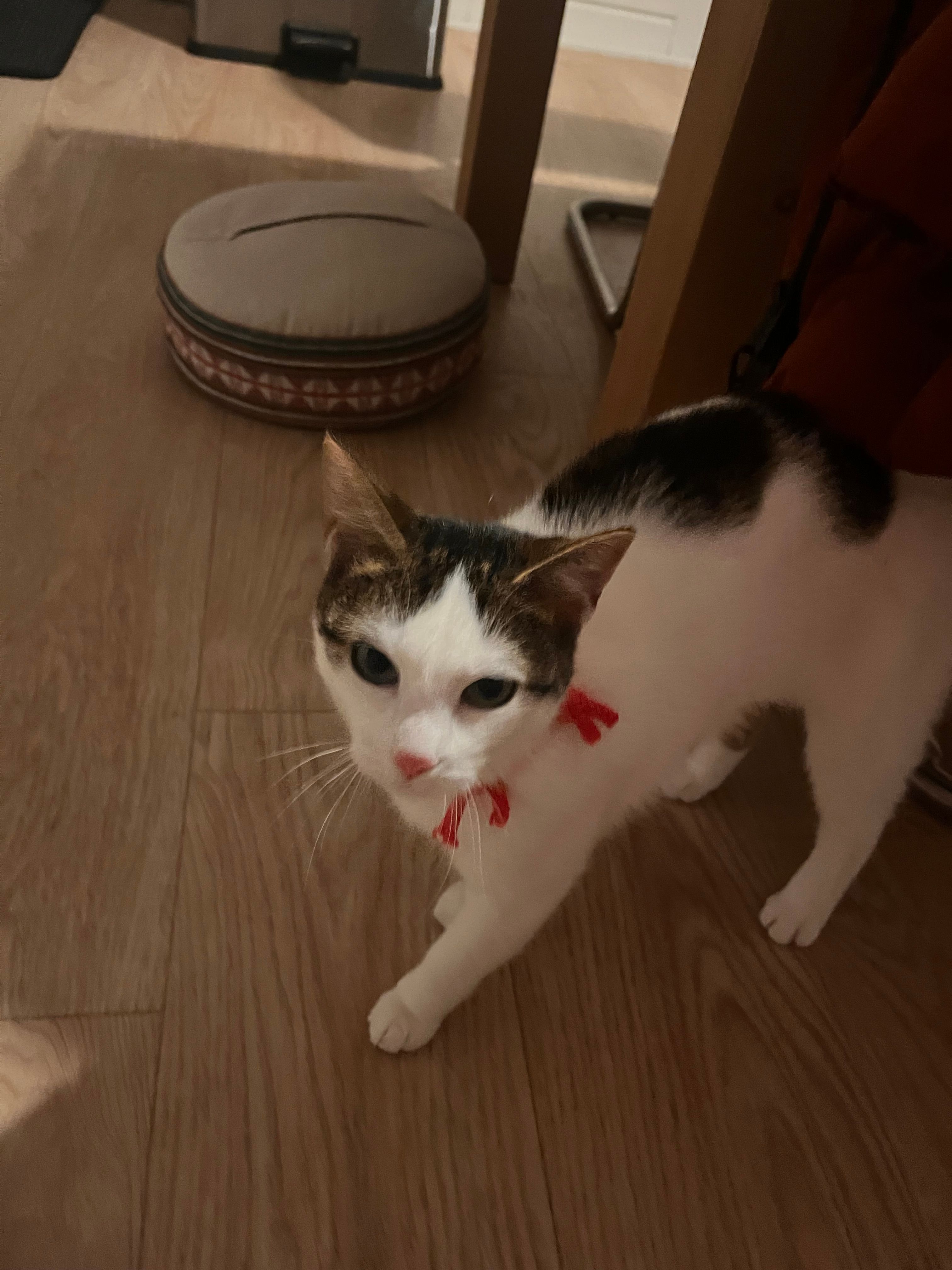 image-6