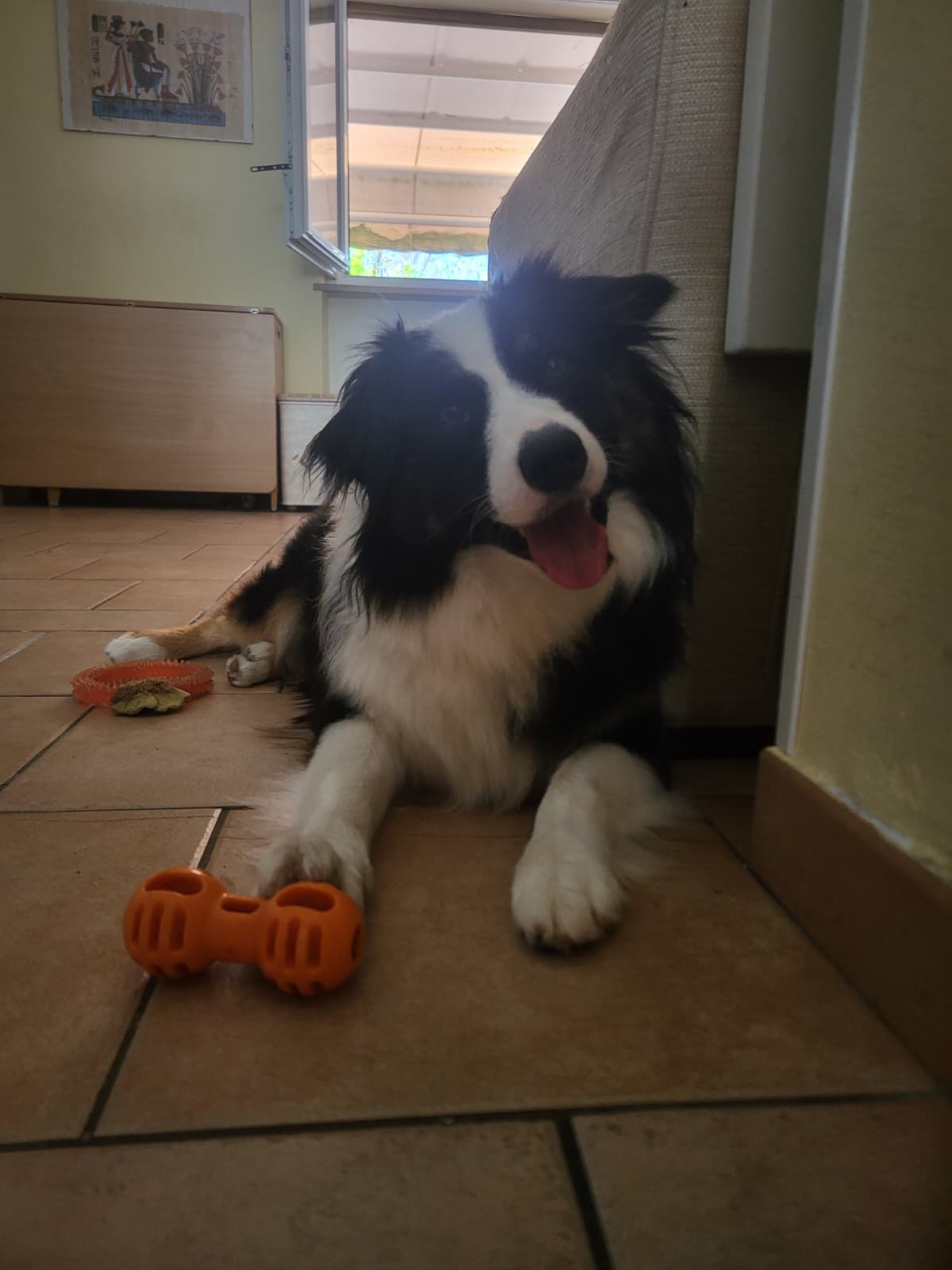 image-3