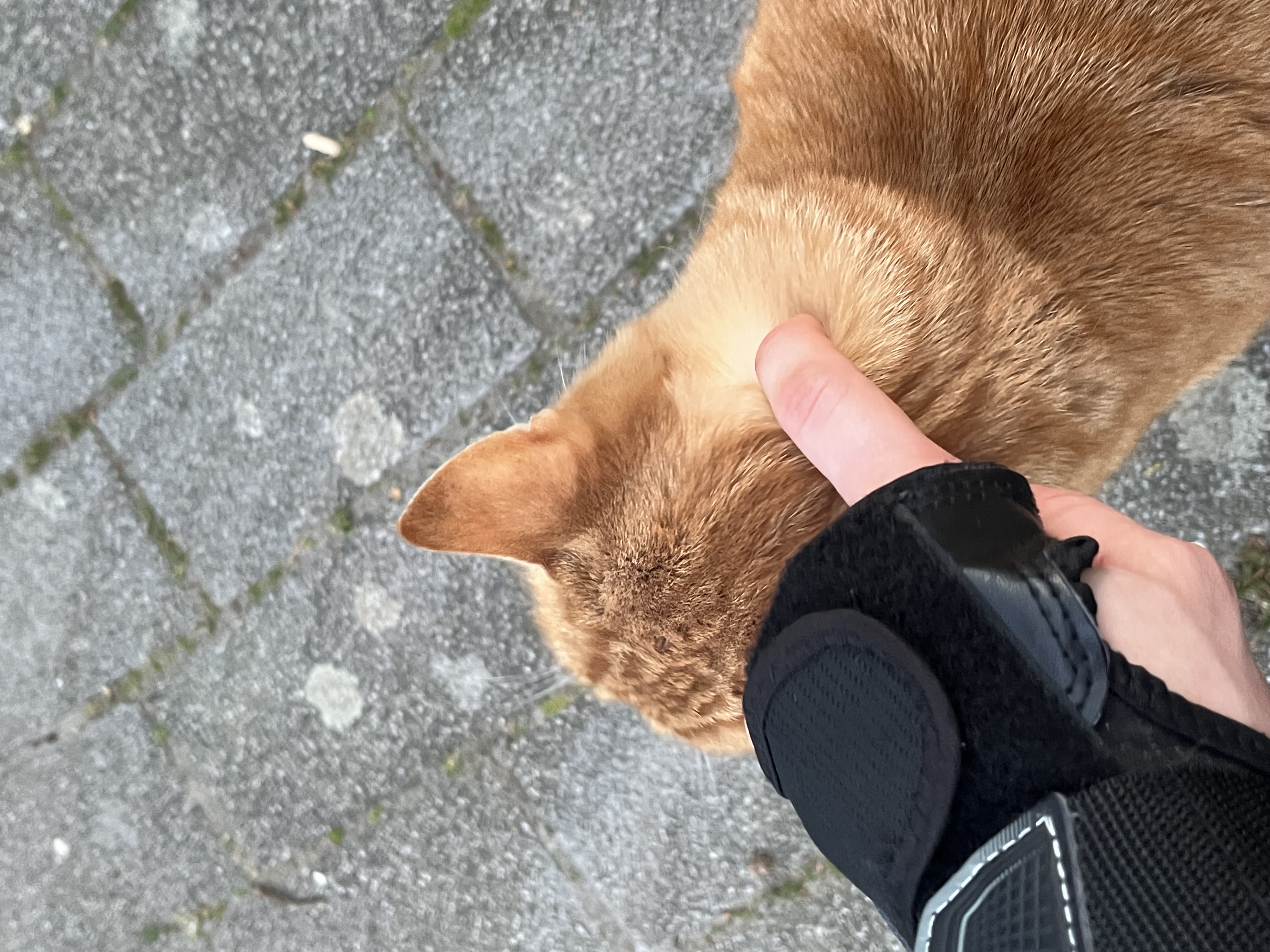 image-15