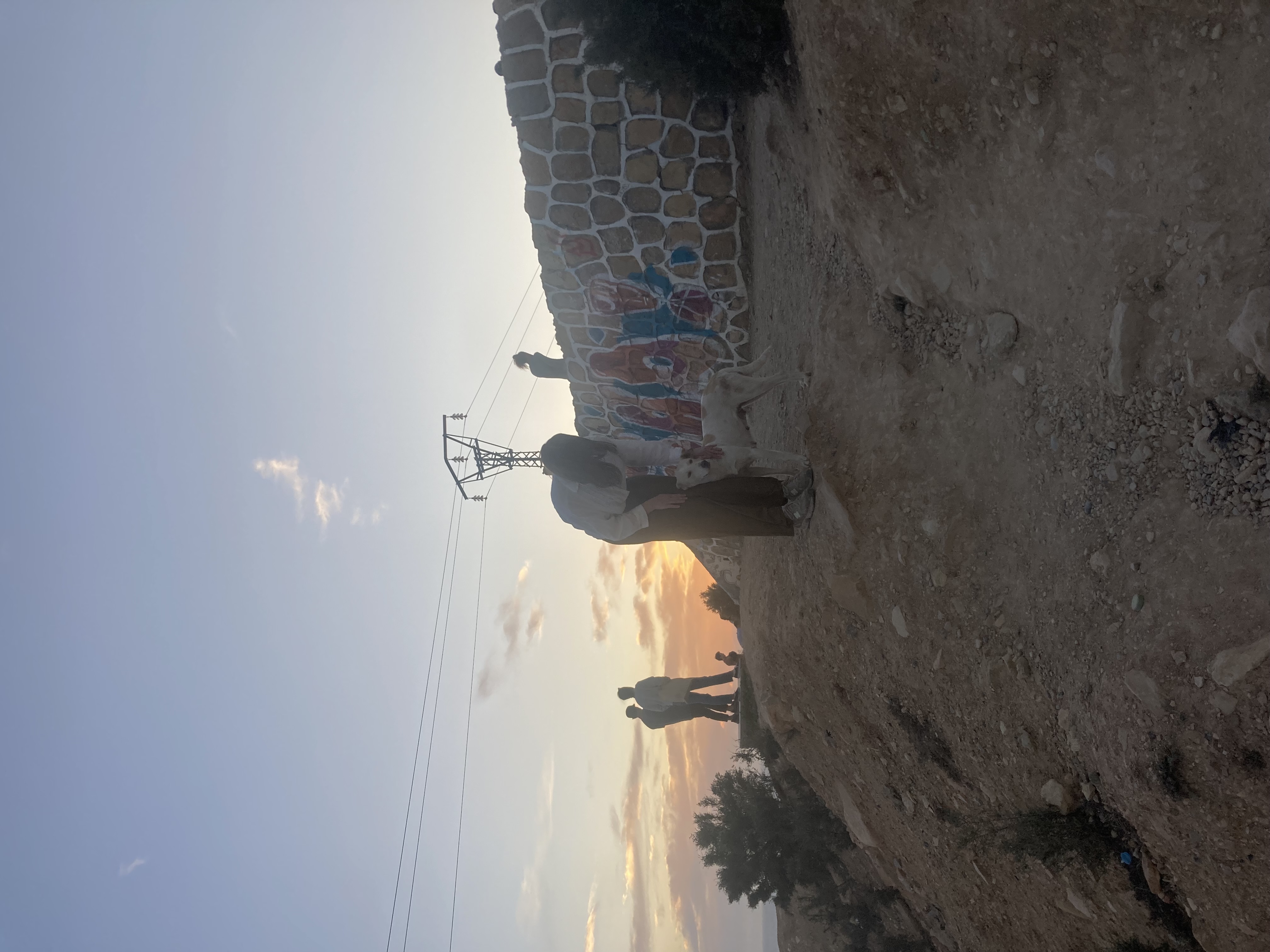 image-8