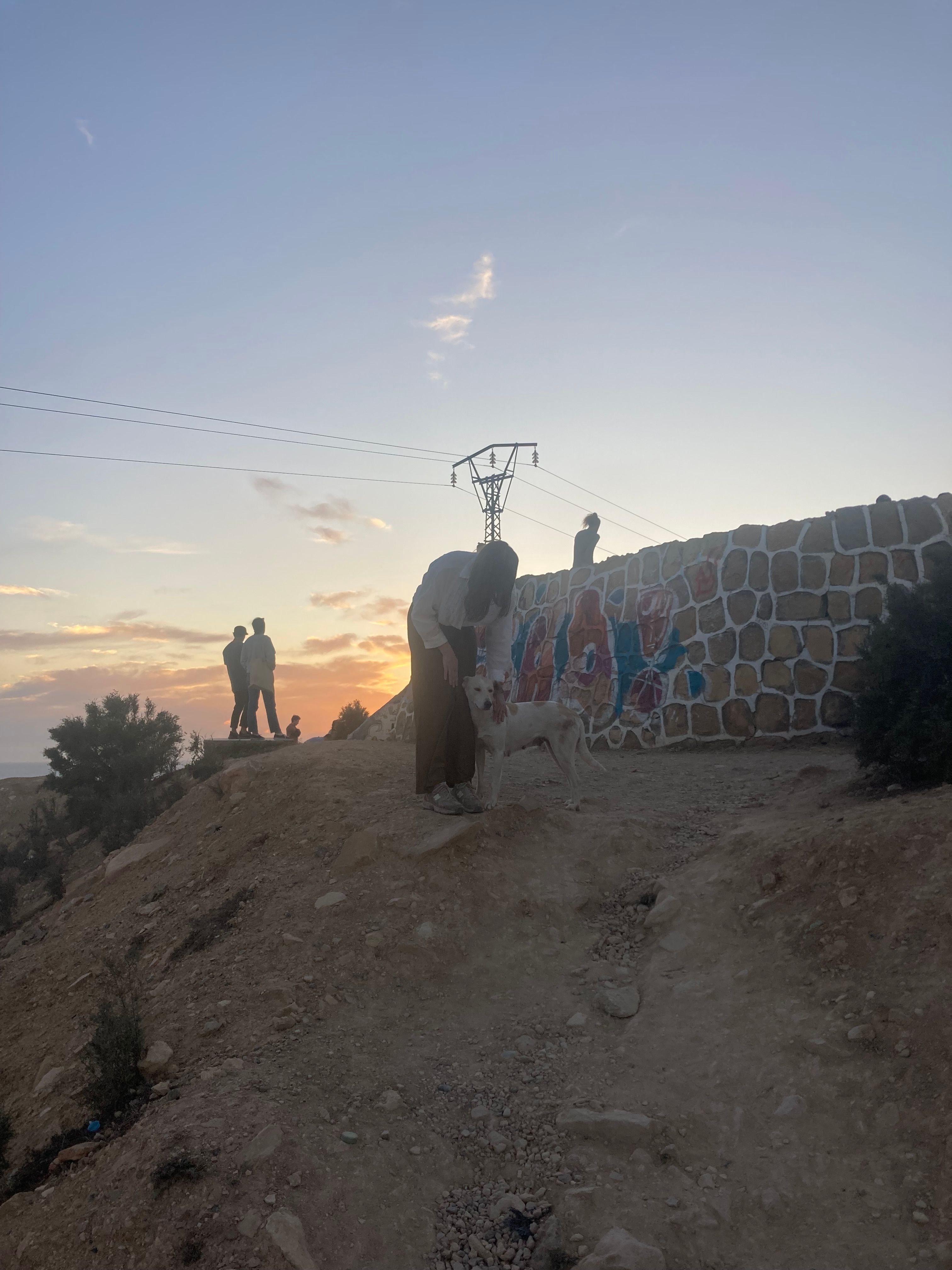 image-8
