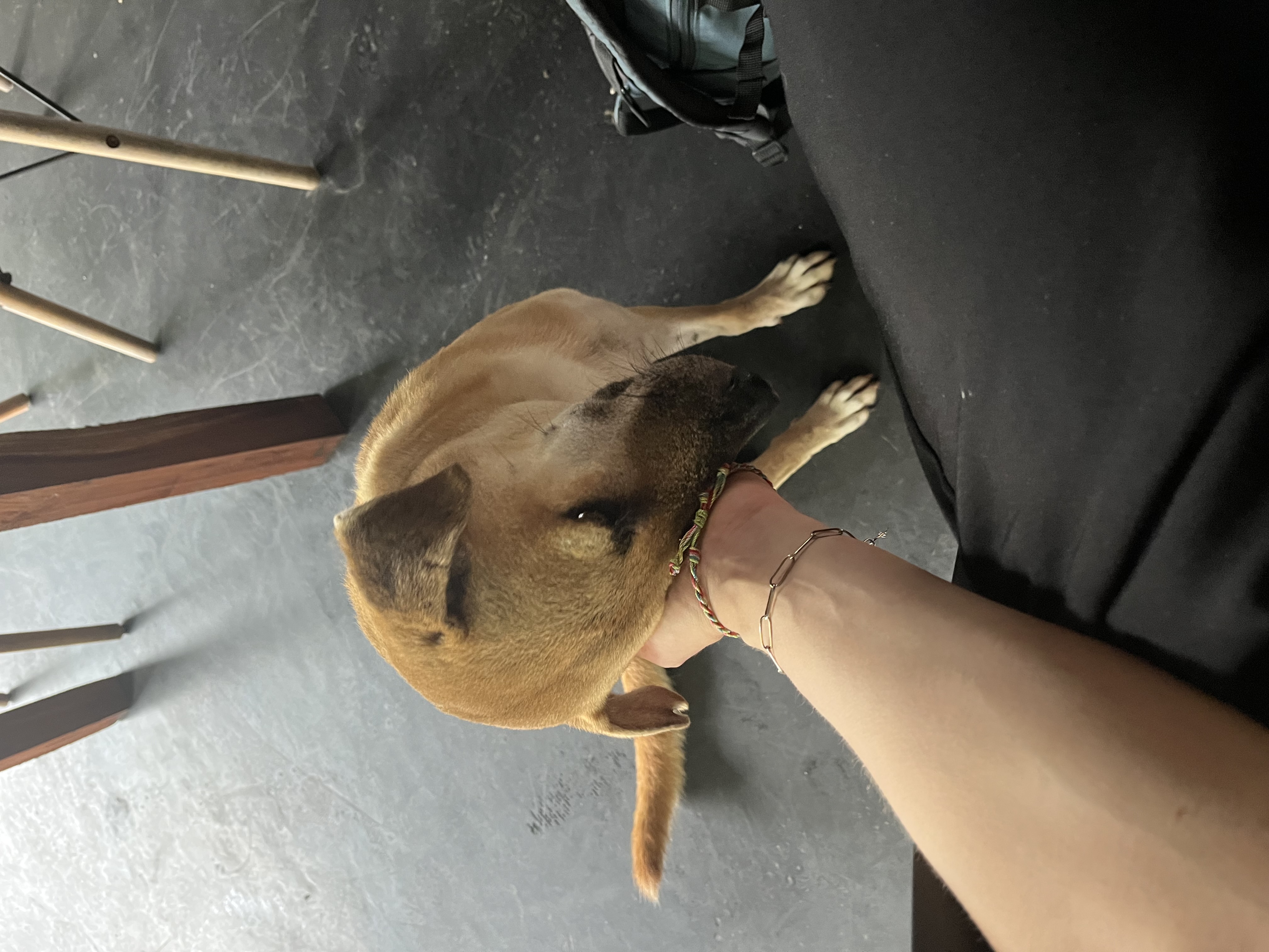 image-9