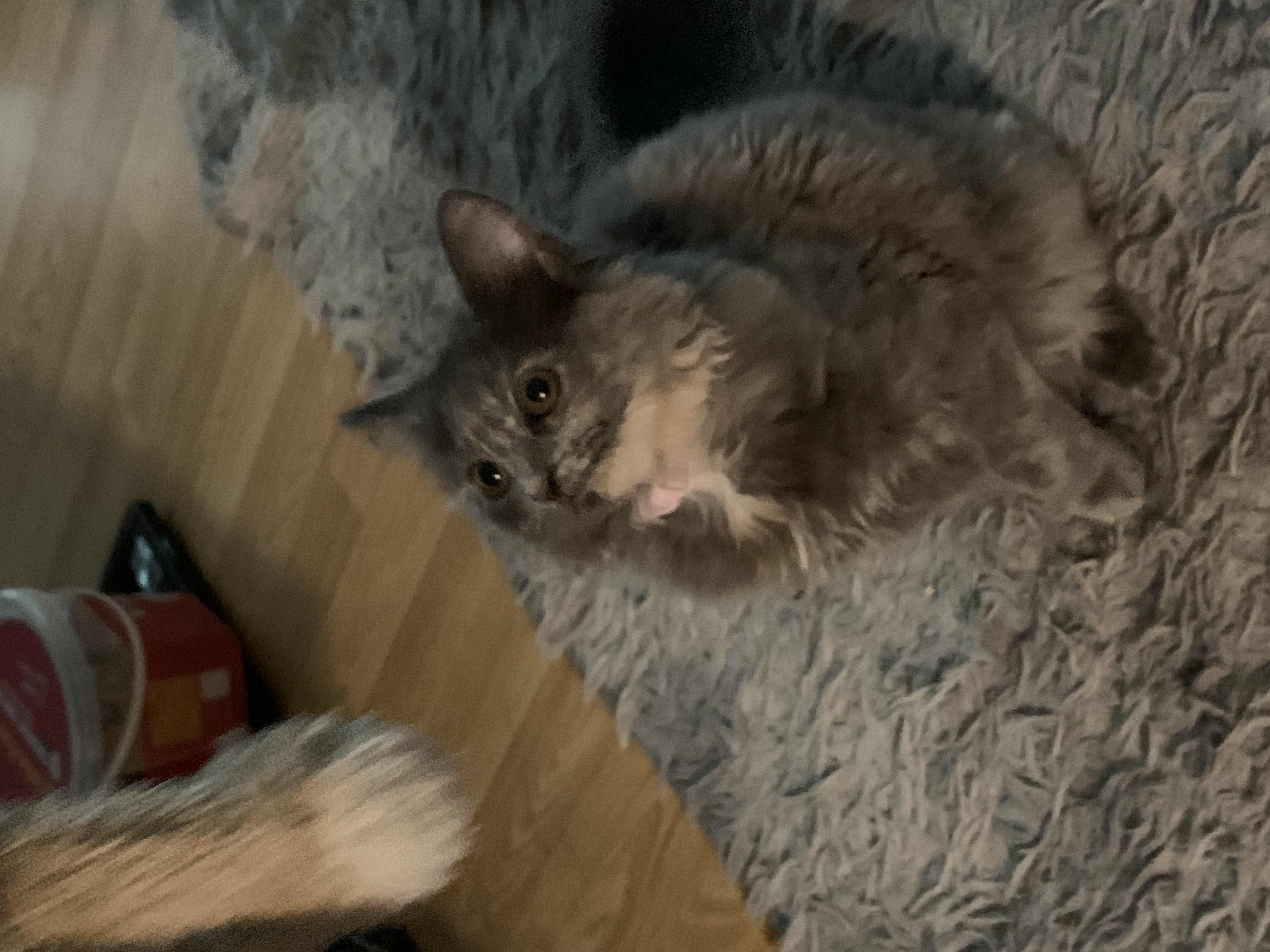 image-8