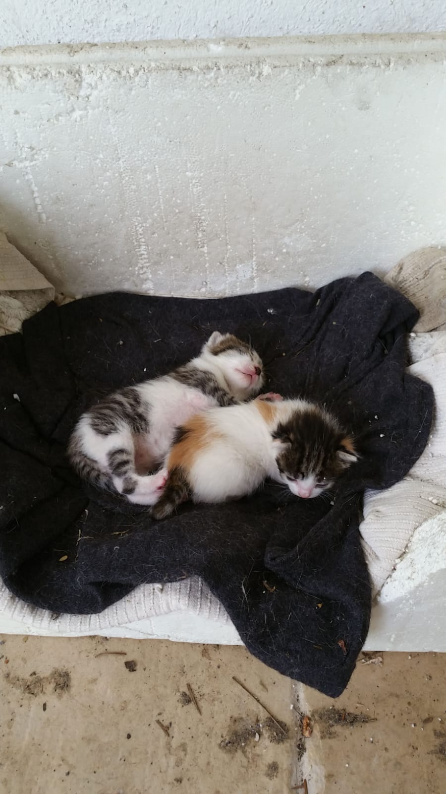 image-15