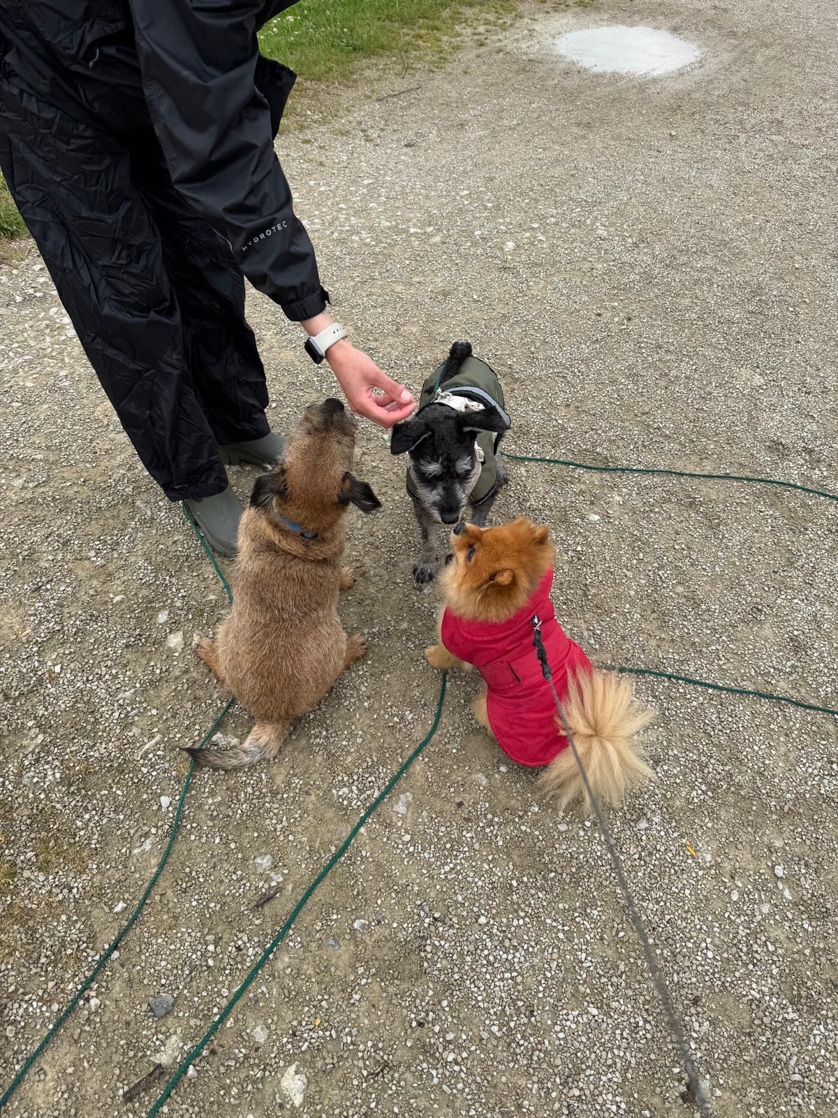 image-8