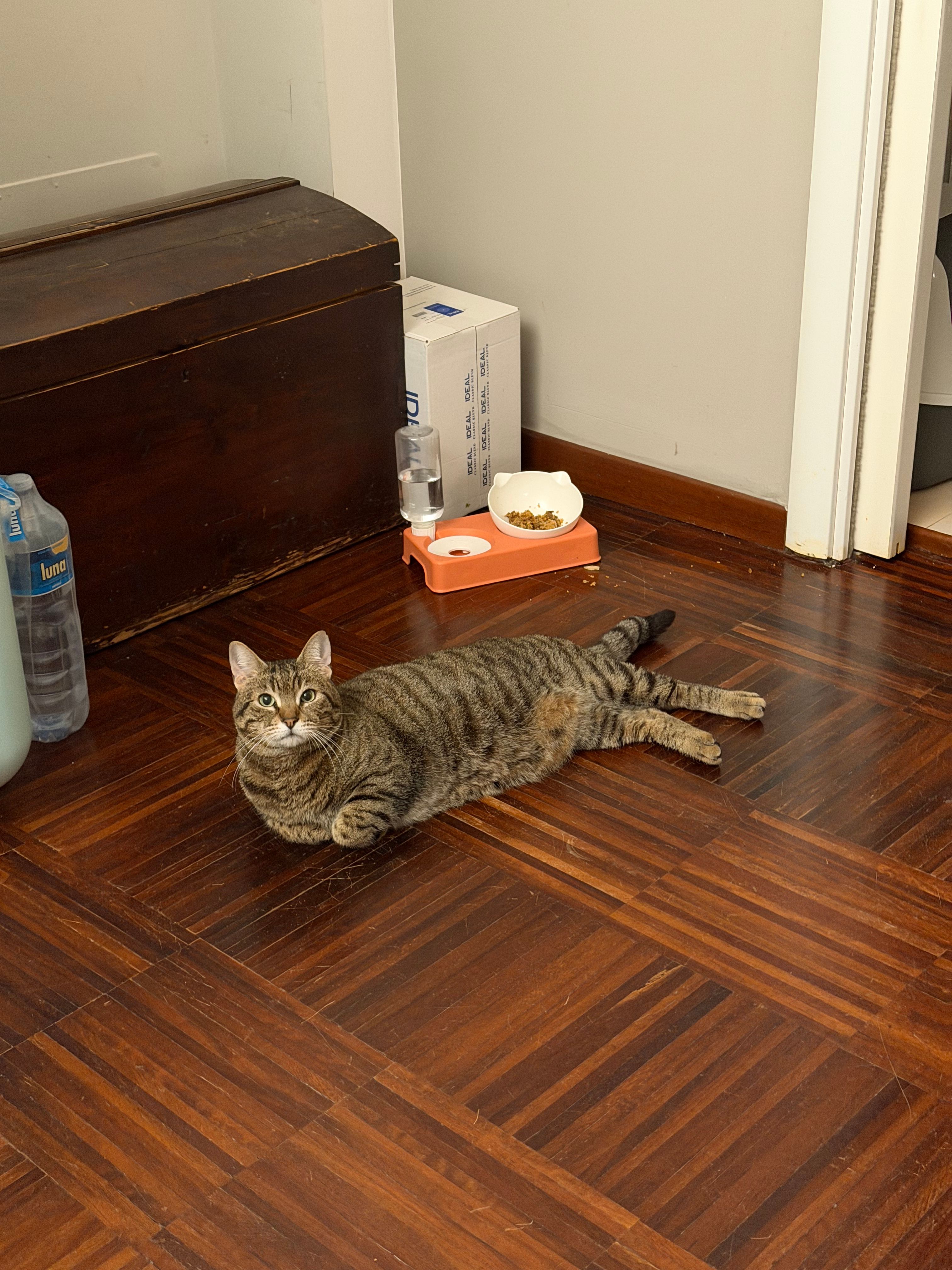 image-14