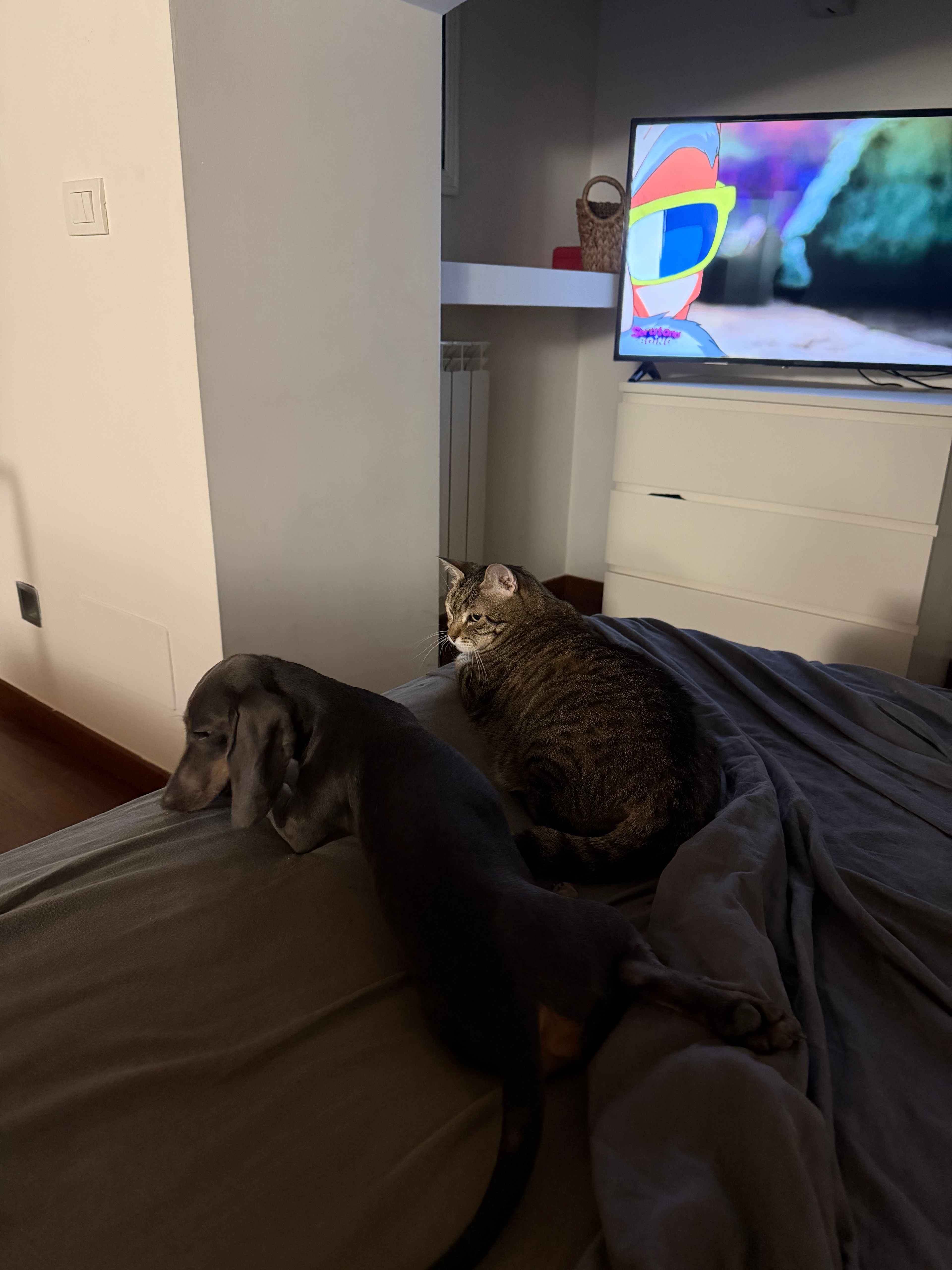 image-10