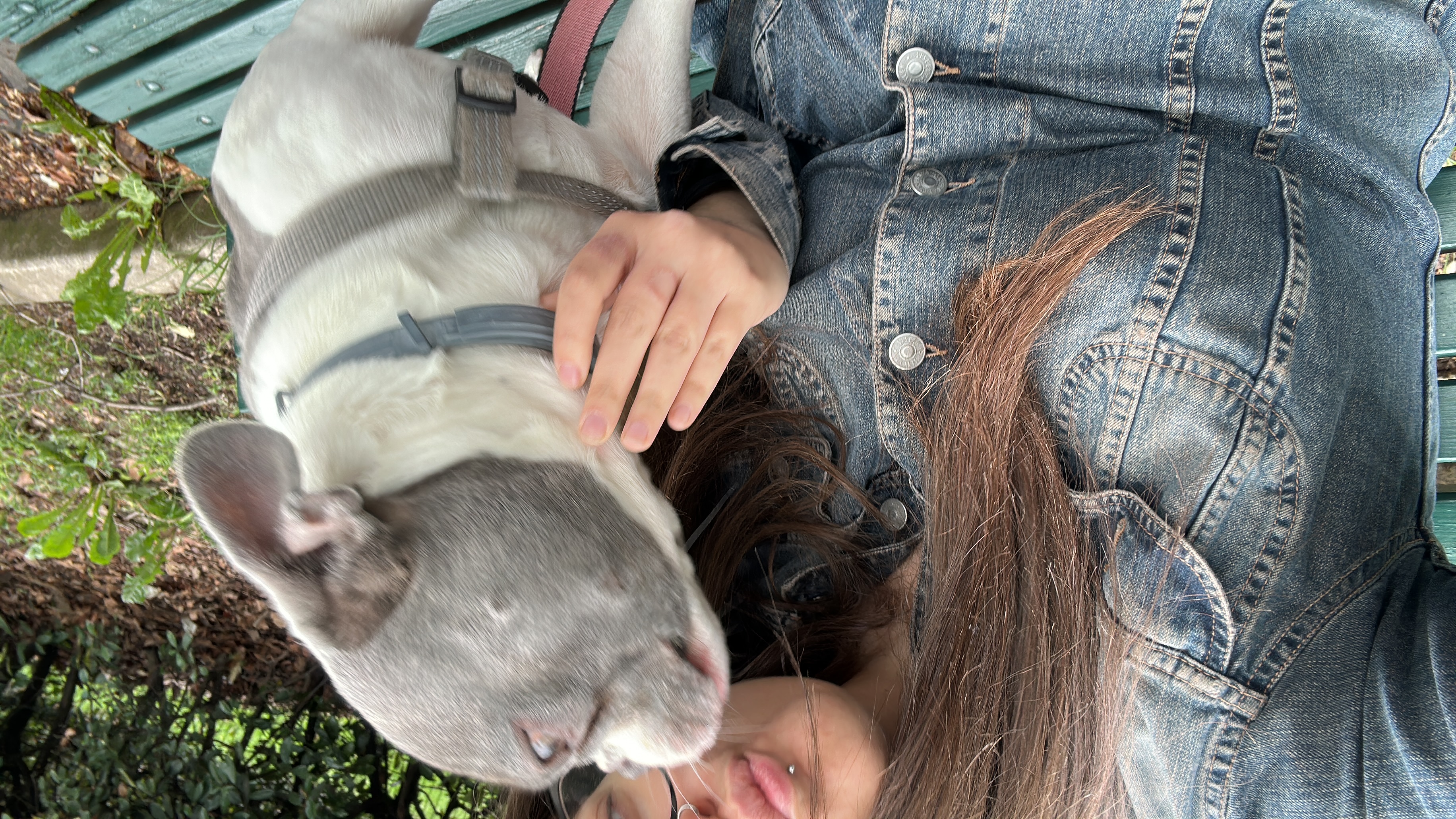 image-7