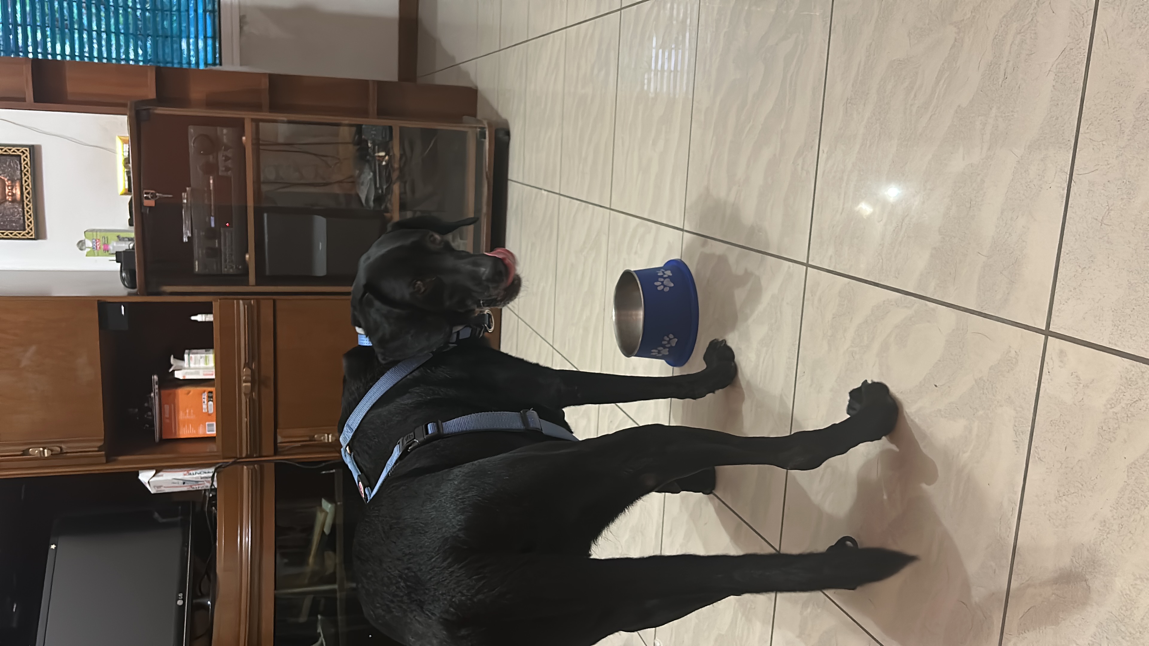 image-18