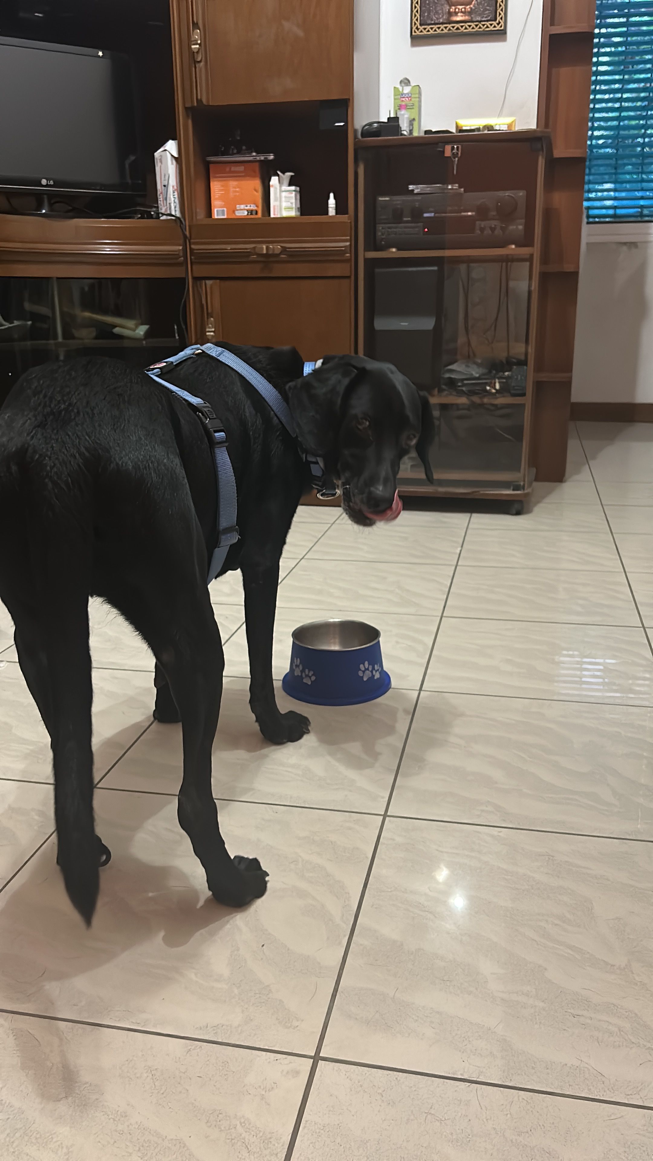 image-18