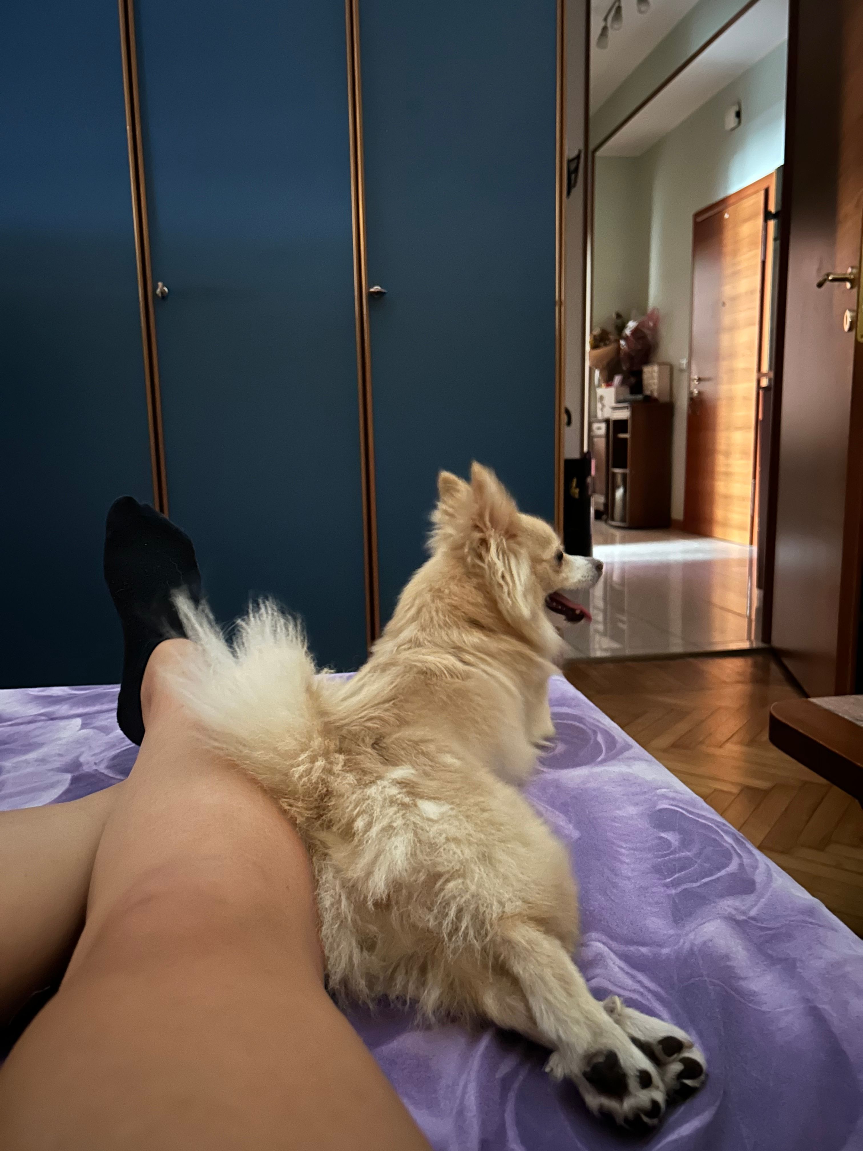 image-16