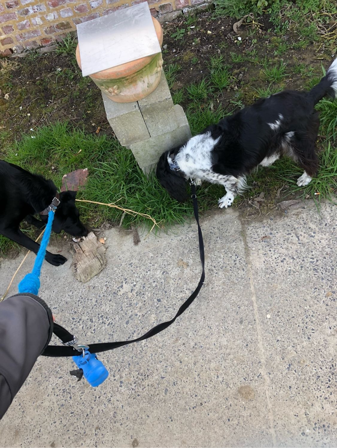 image-7