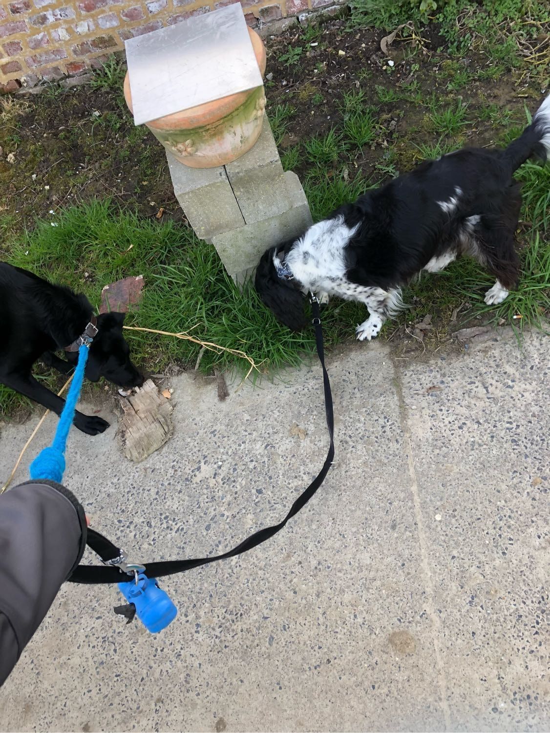 image-7