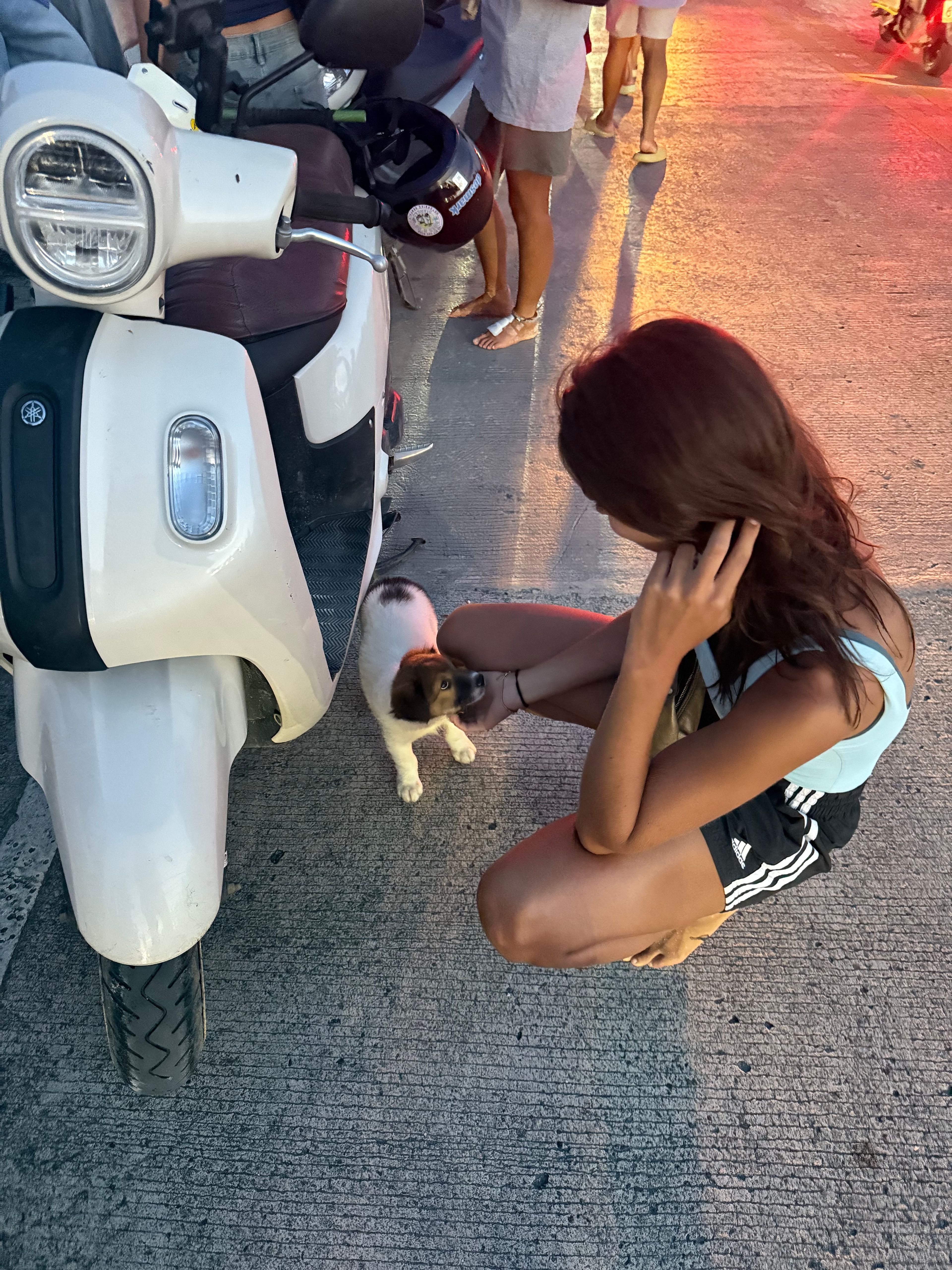 image-7