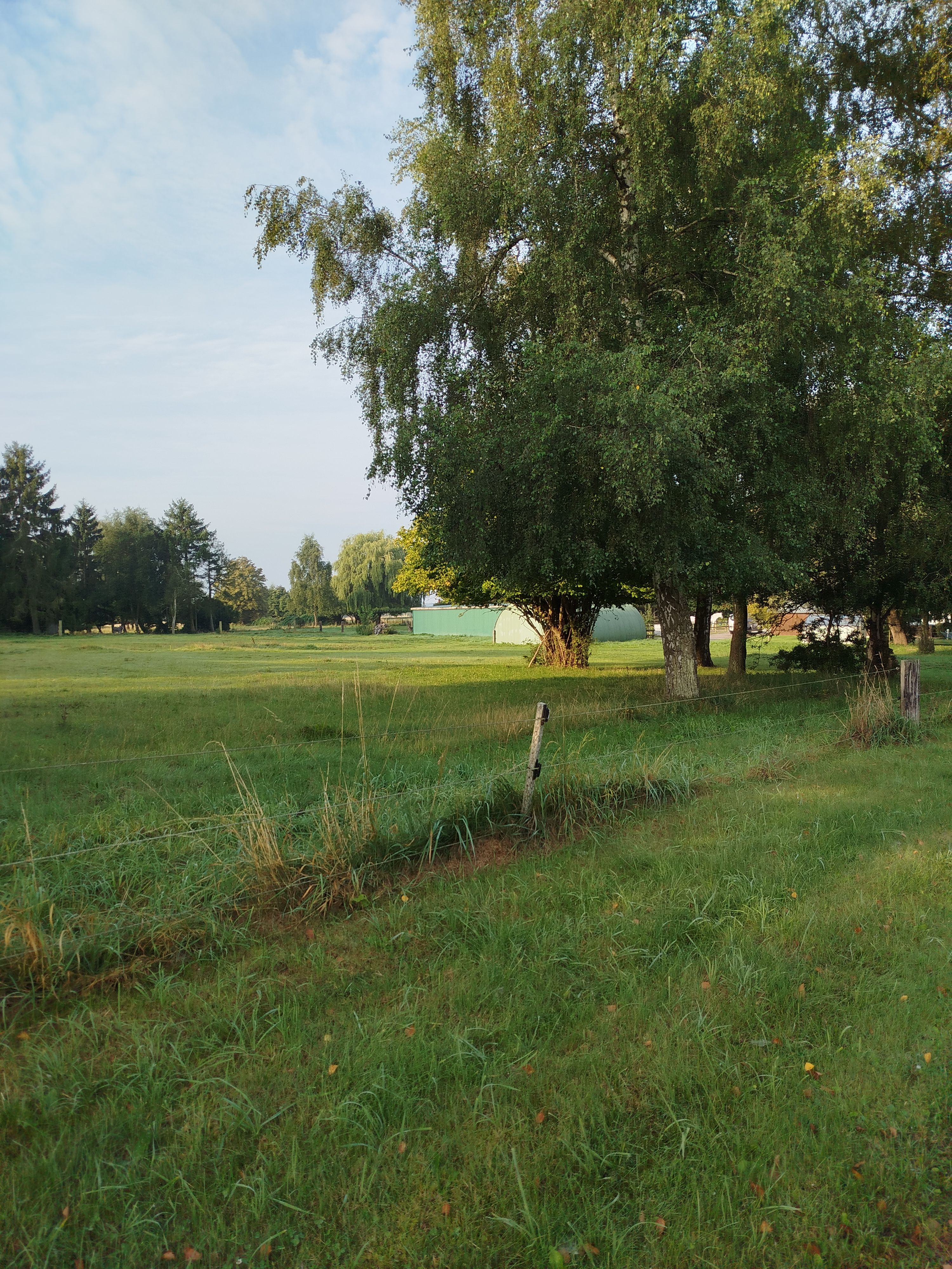 image-18