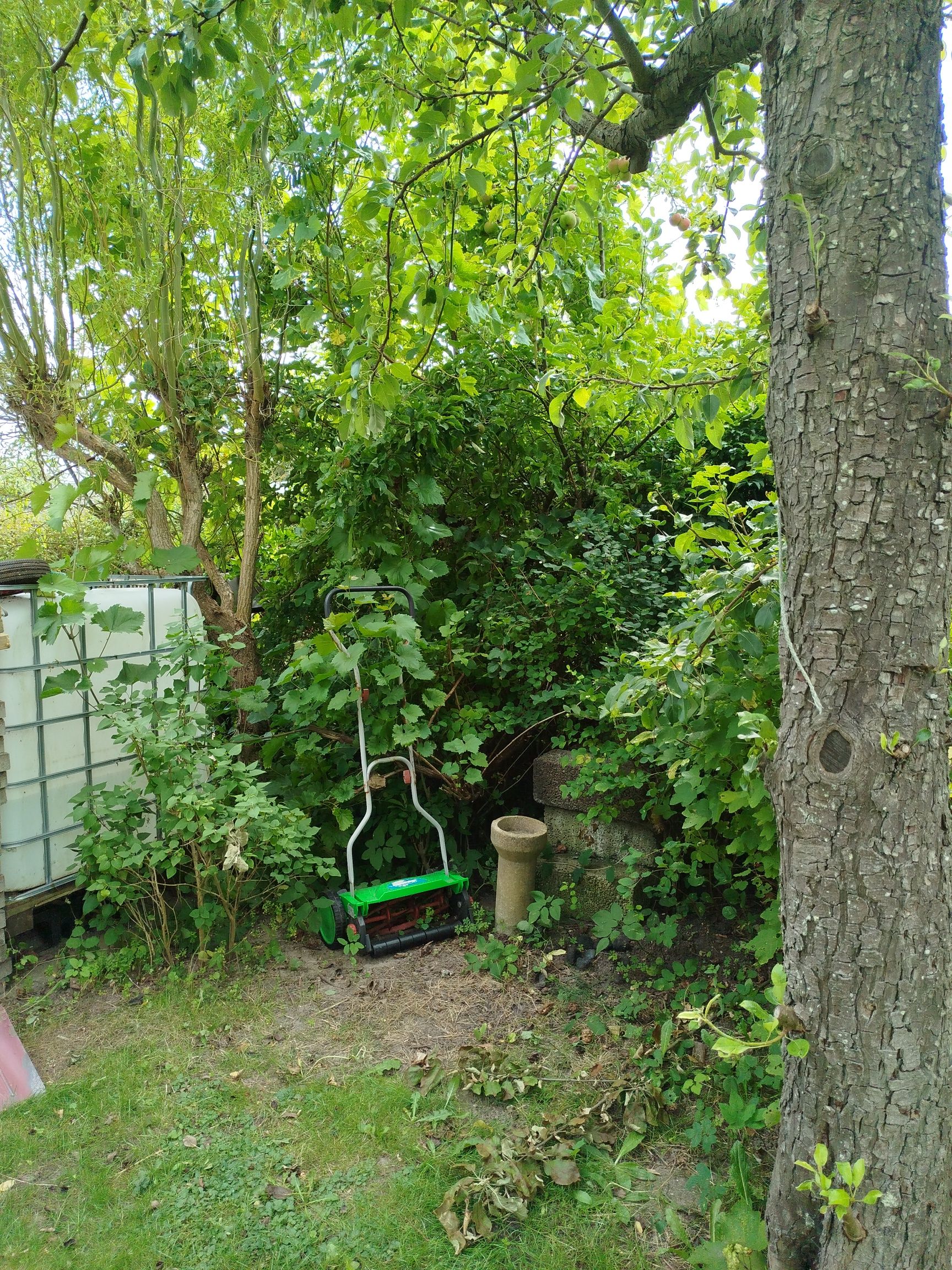 image-15