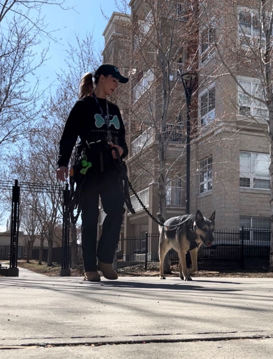 image-18