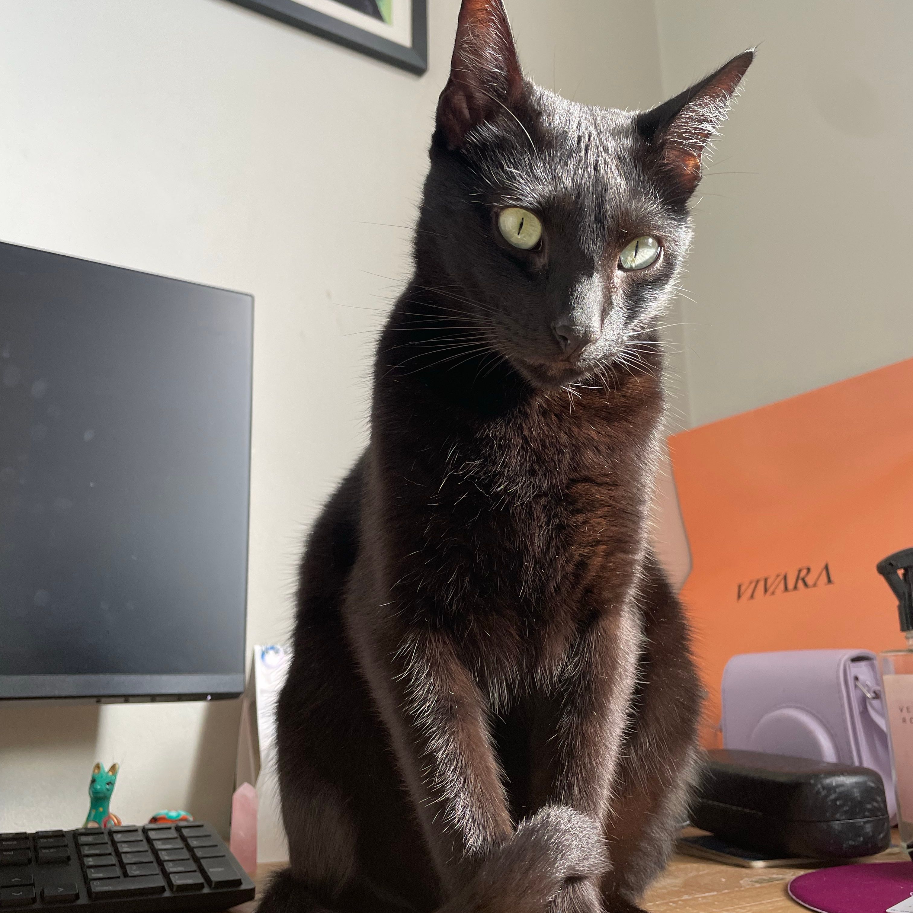 Tobias