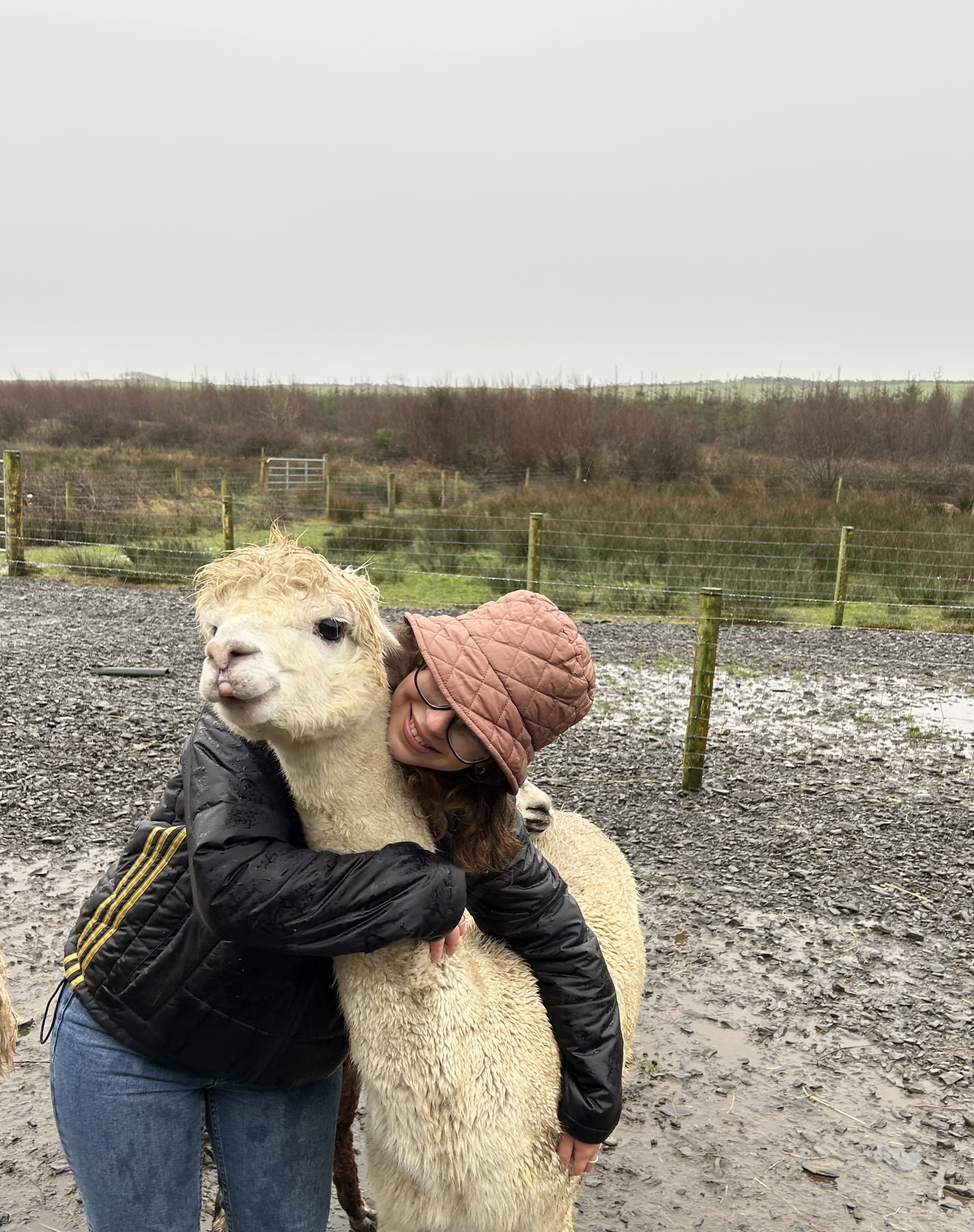 image-6