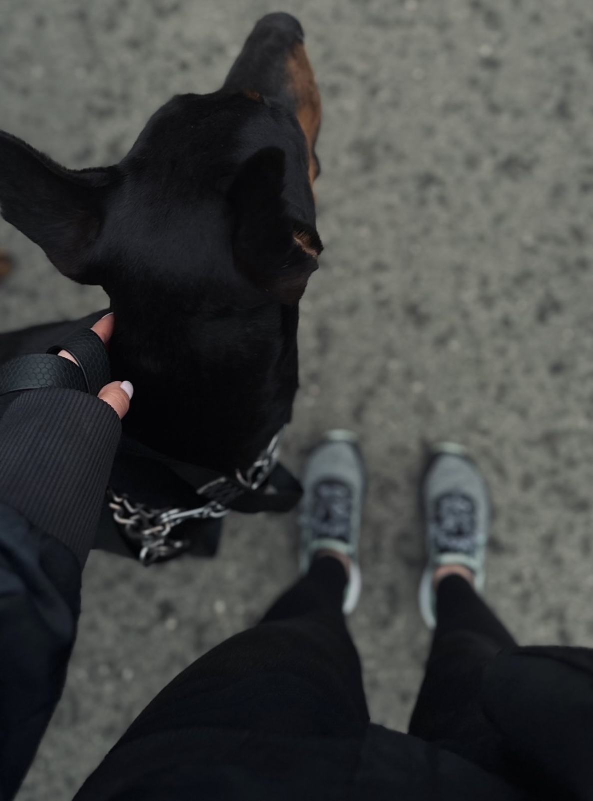 image-9