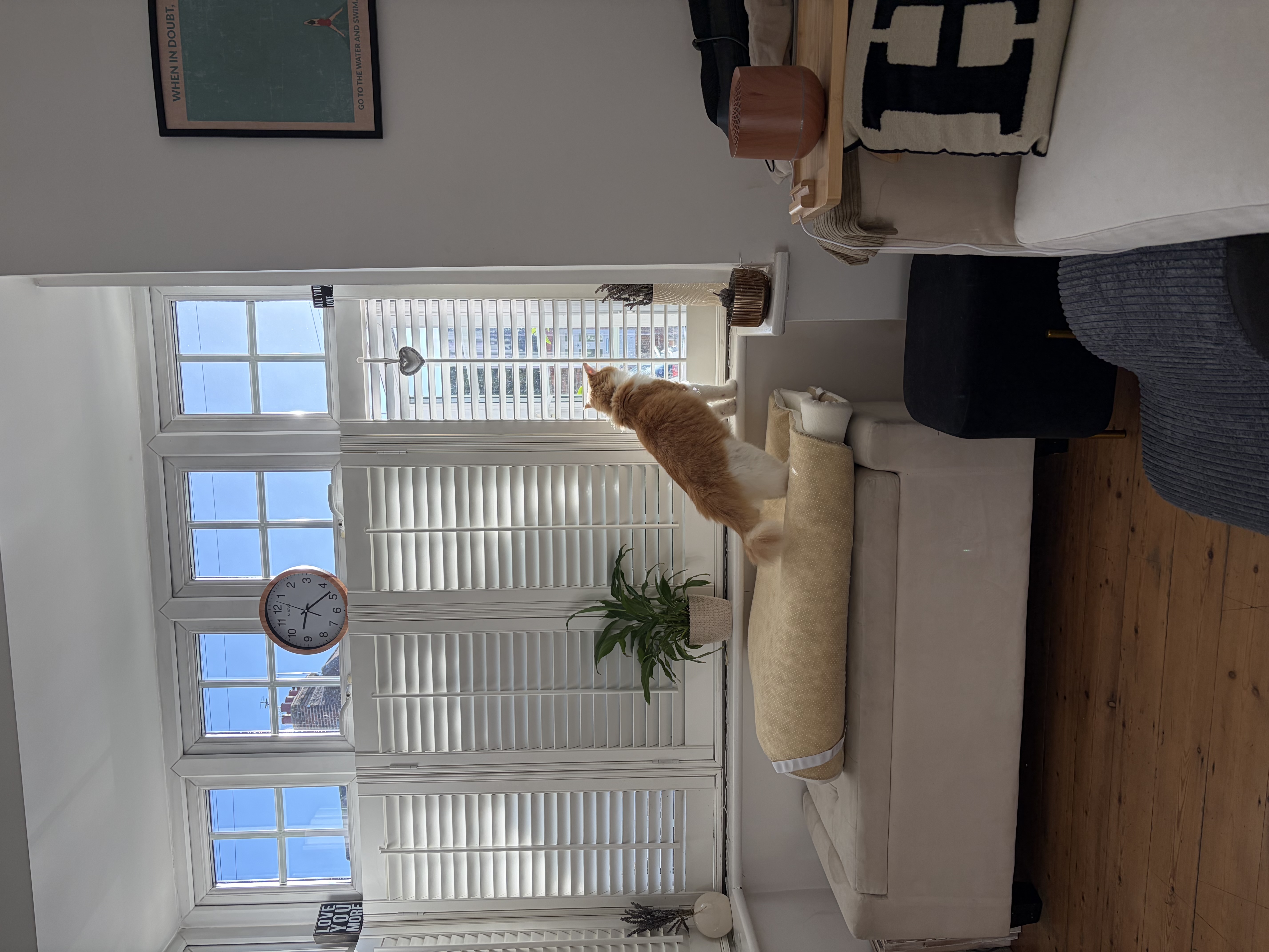 image-17
