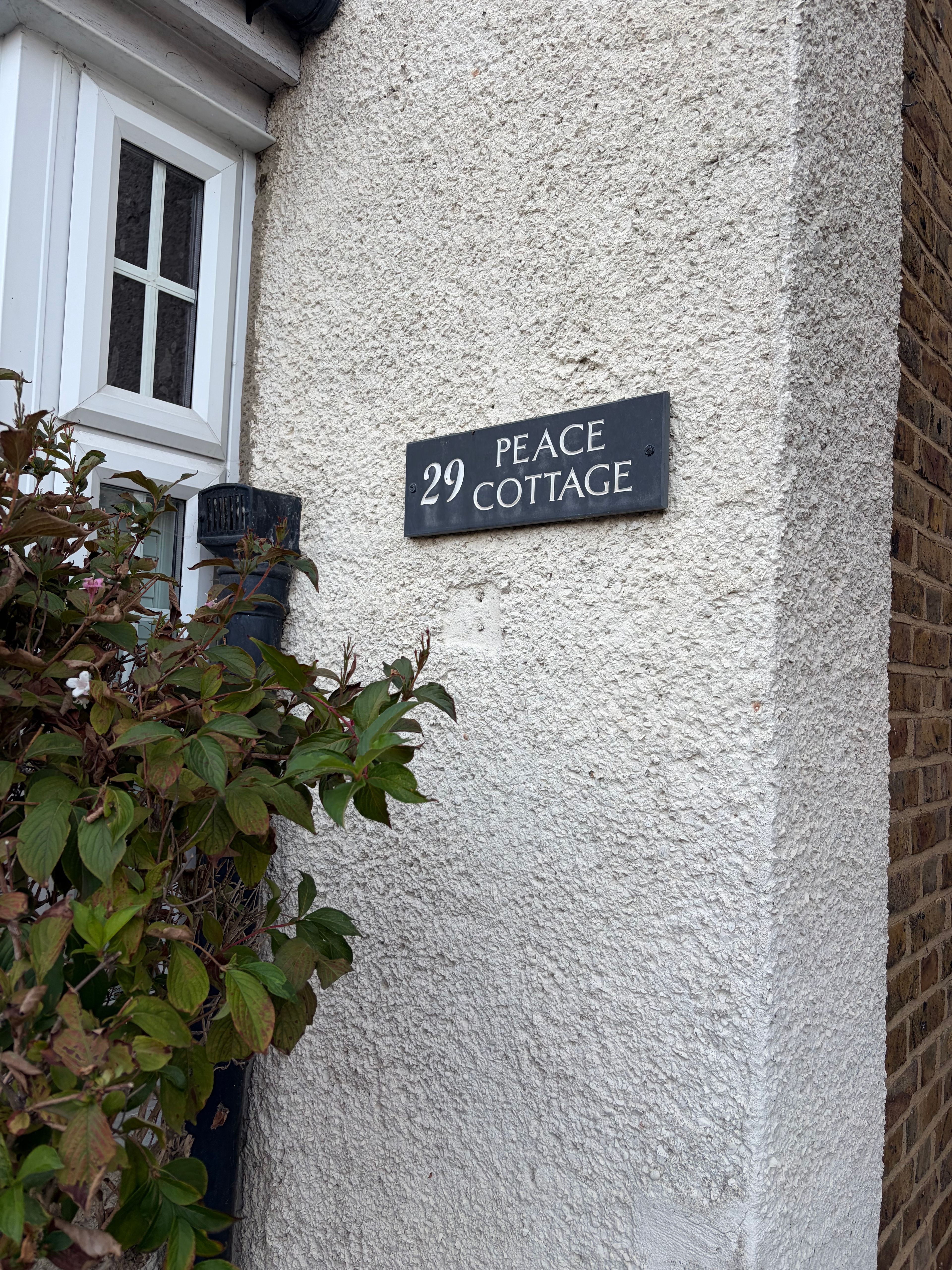 image-18