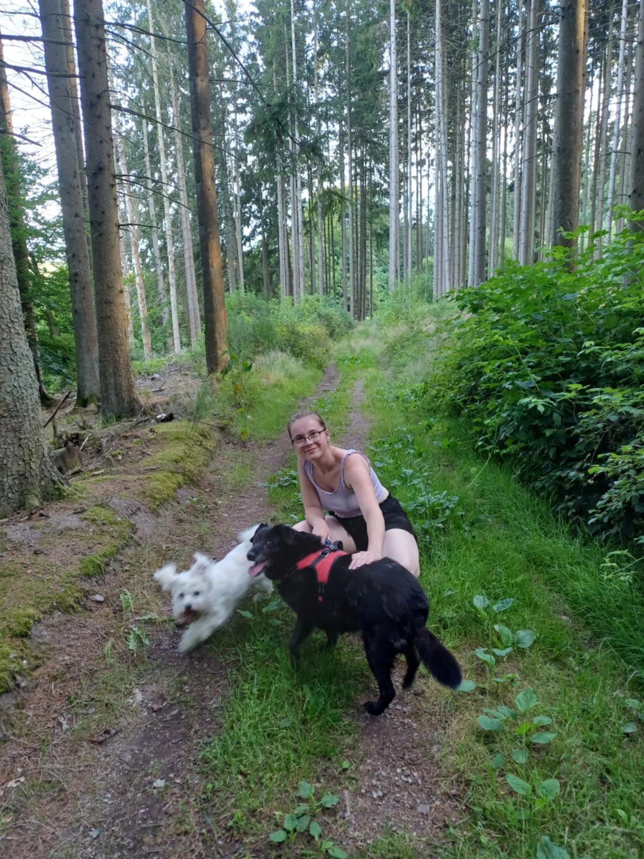 image-8