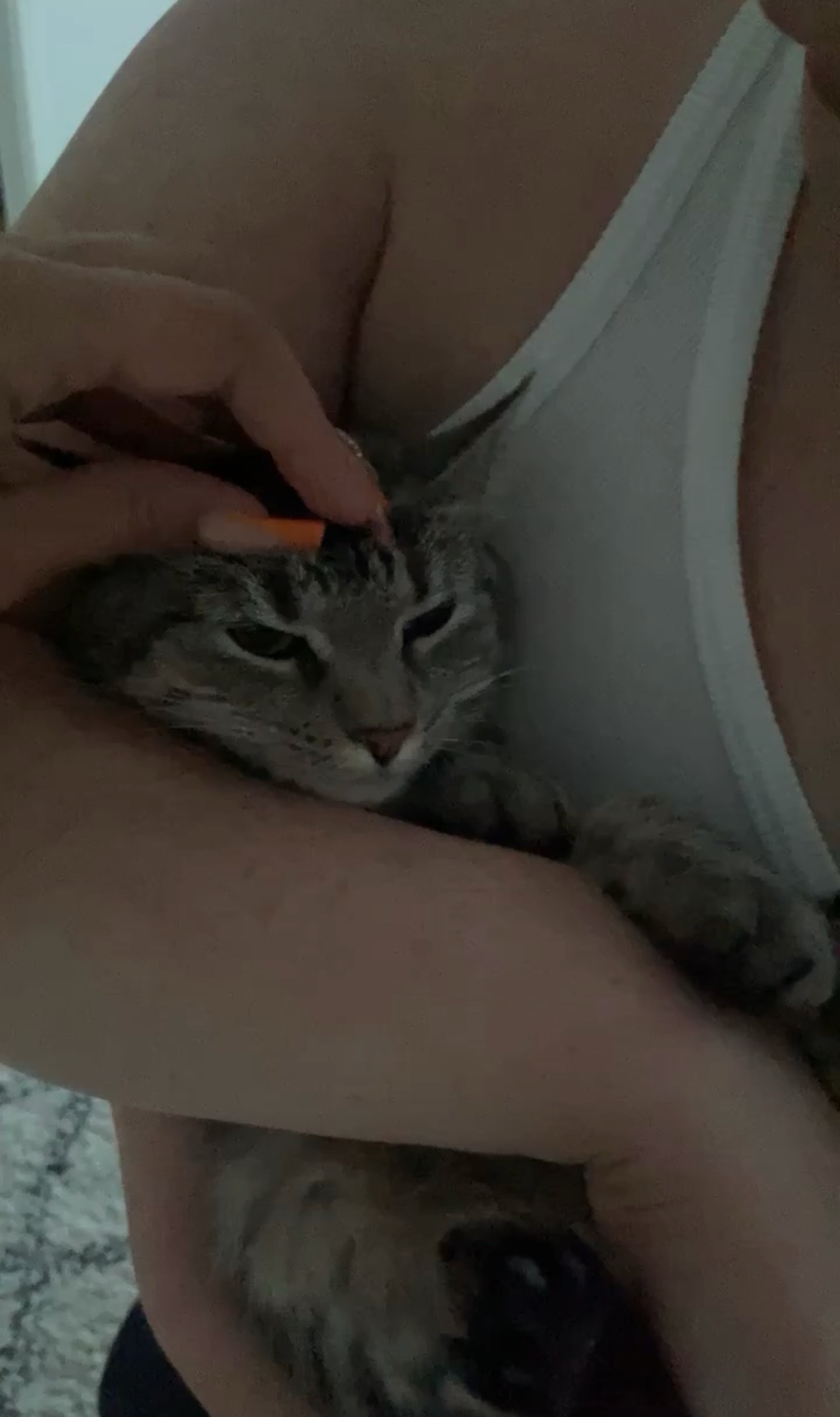 image-5