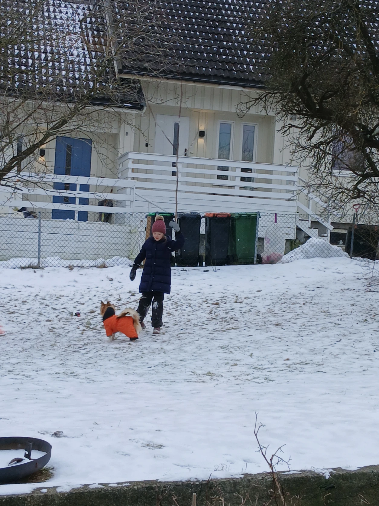 image-15