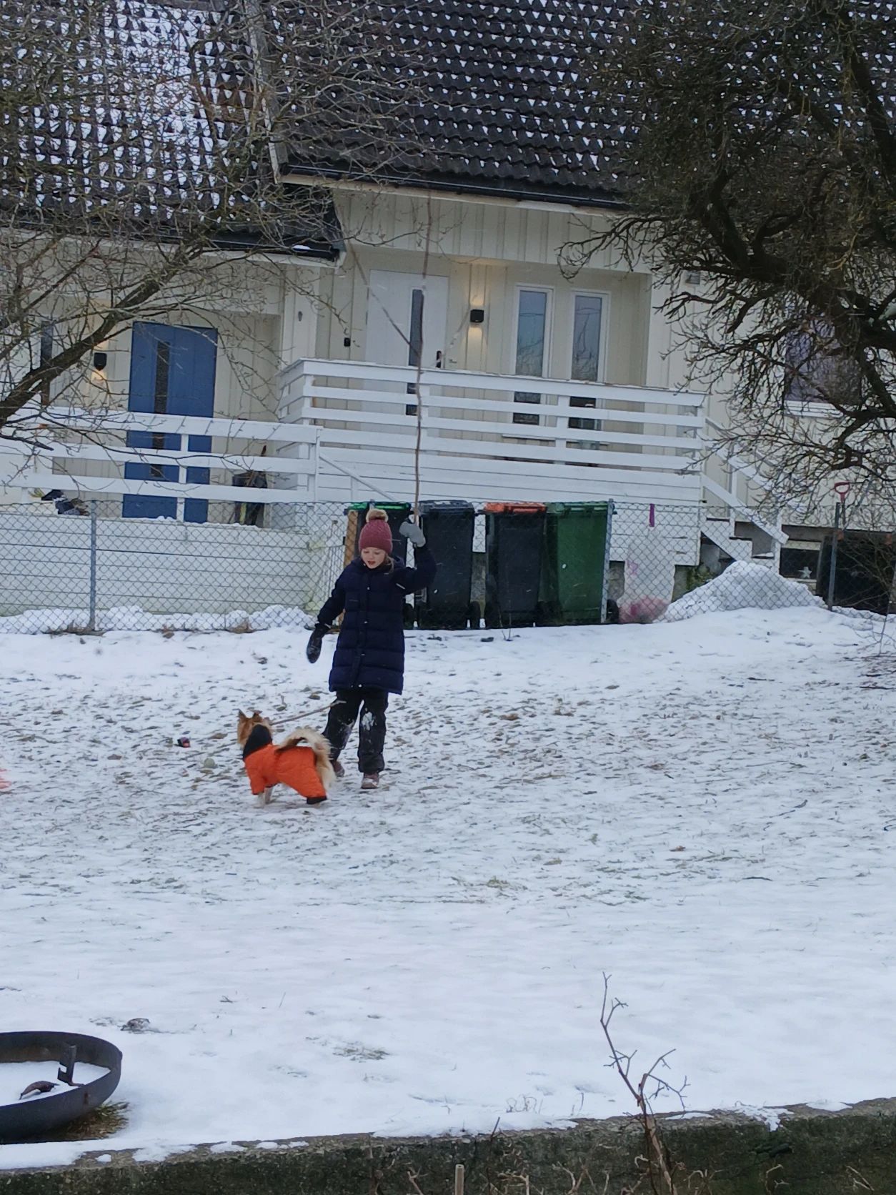 image-15