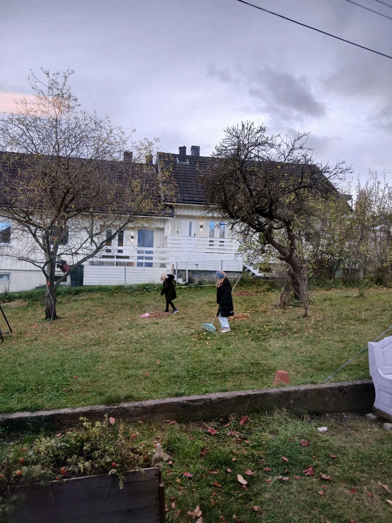 image-8