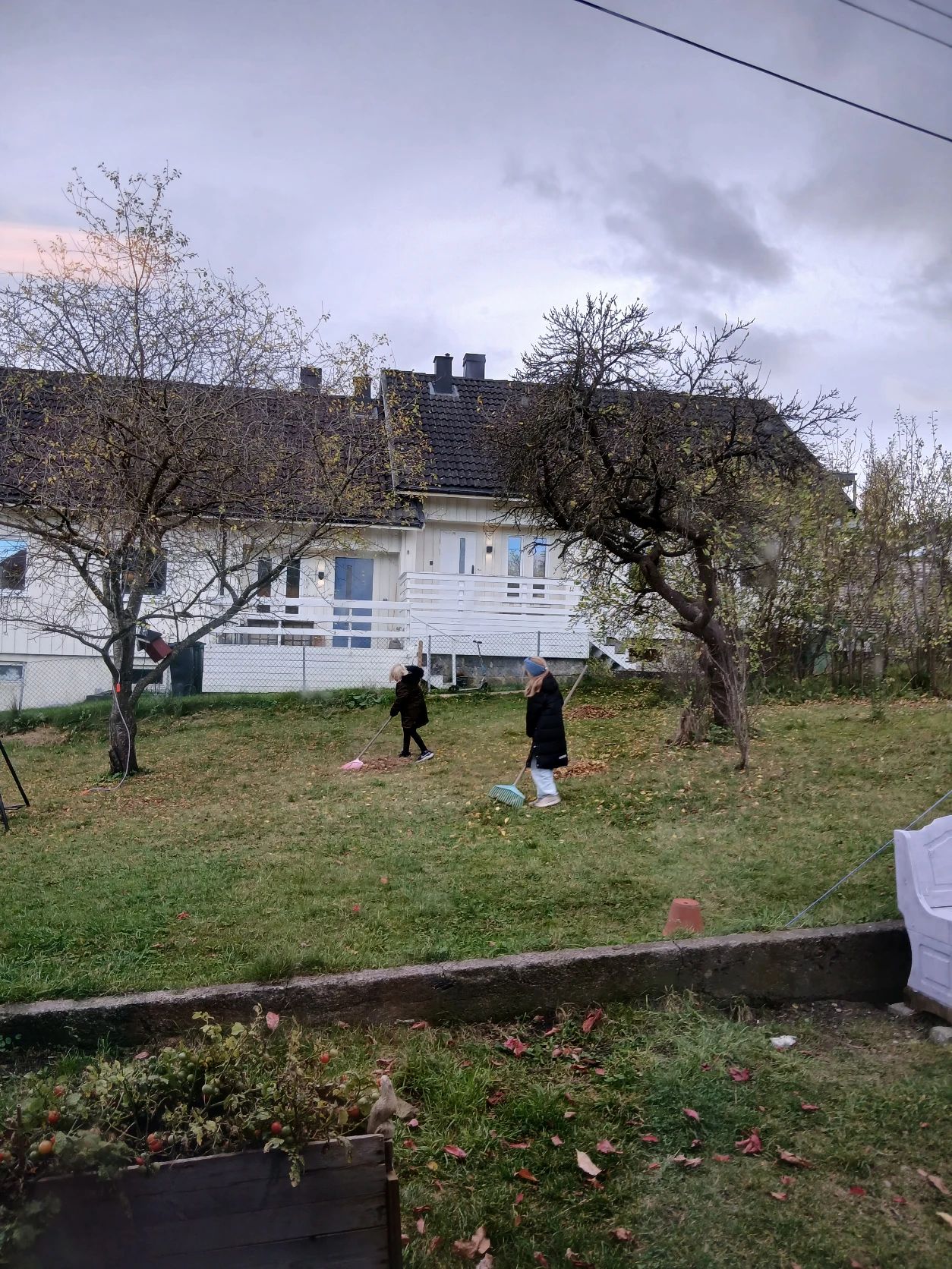 image-8