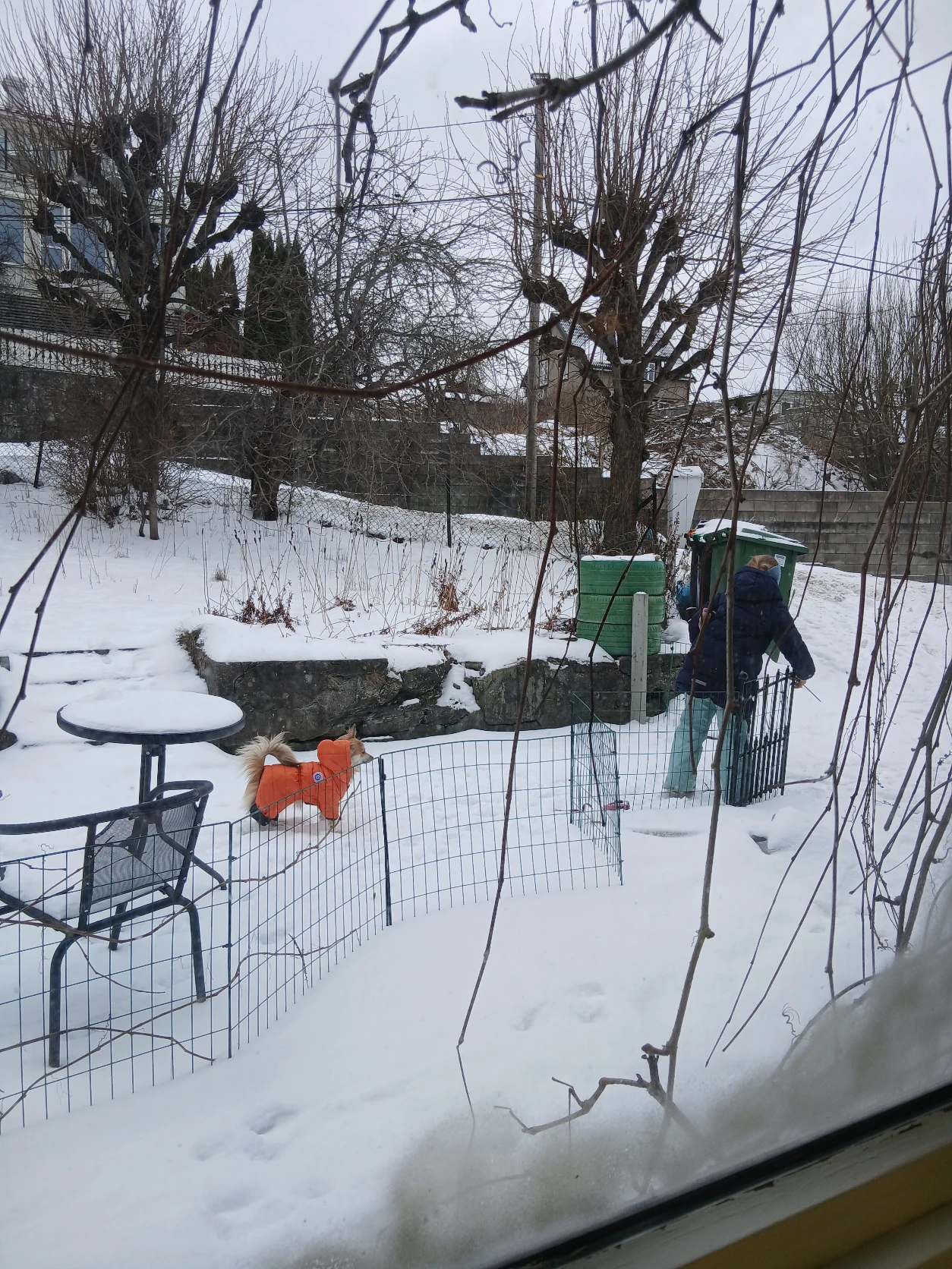 image-7