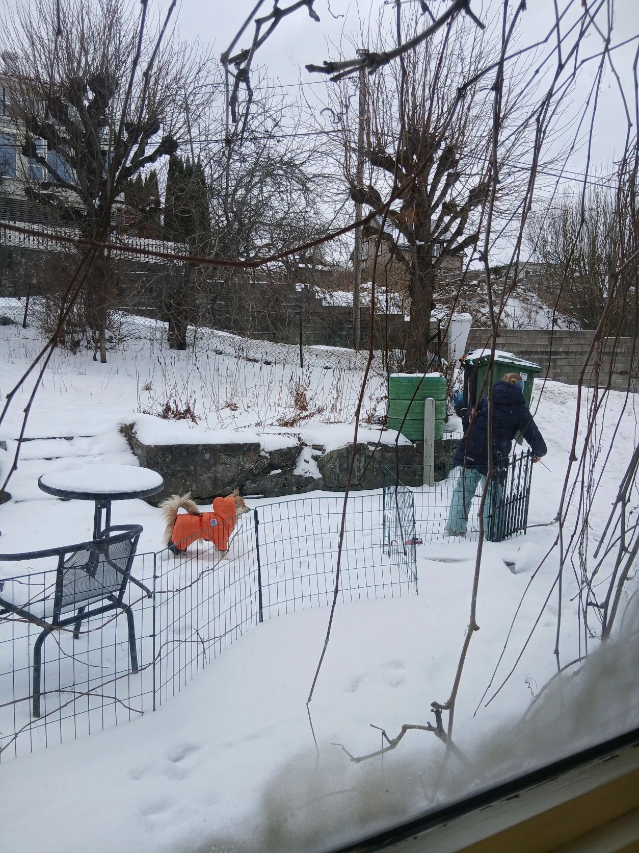image-7