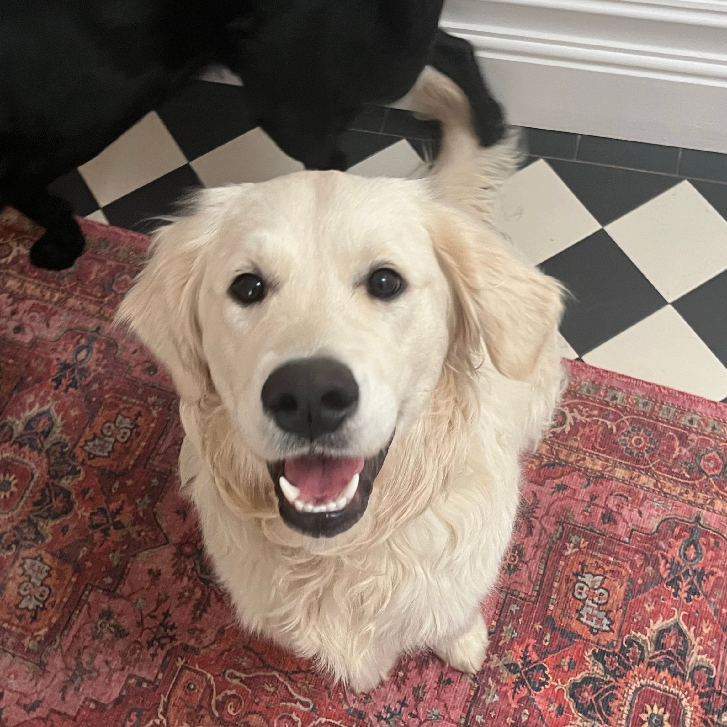 Maggie