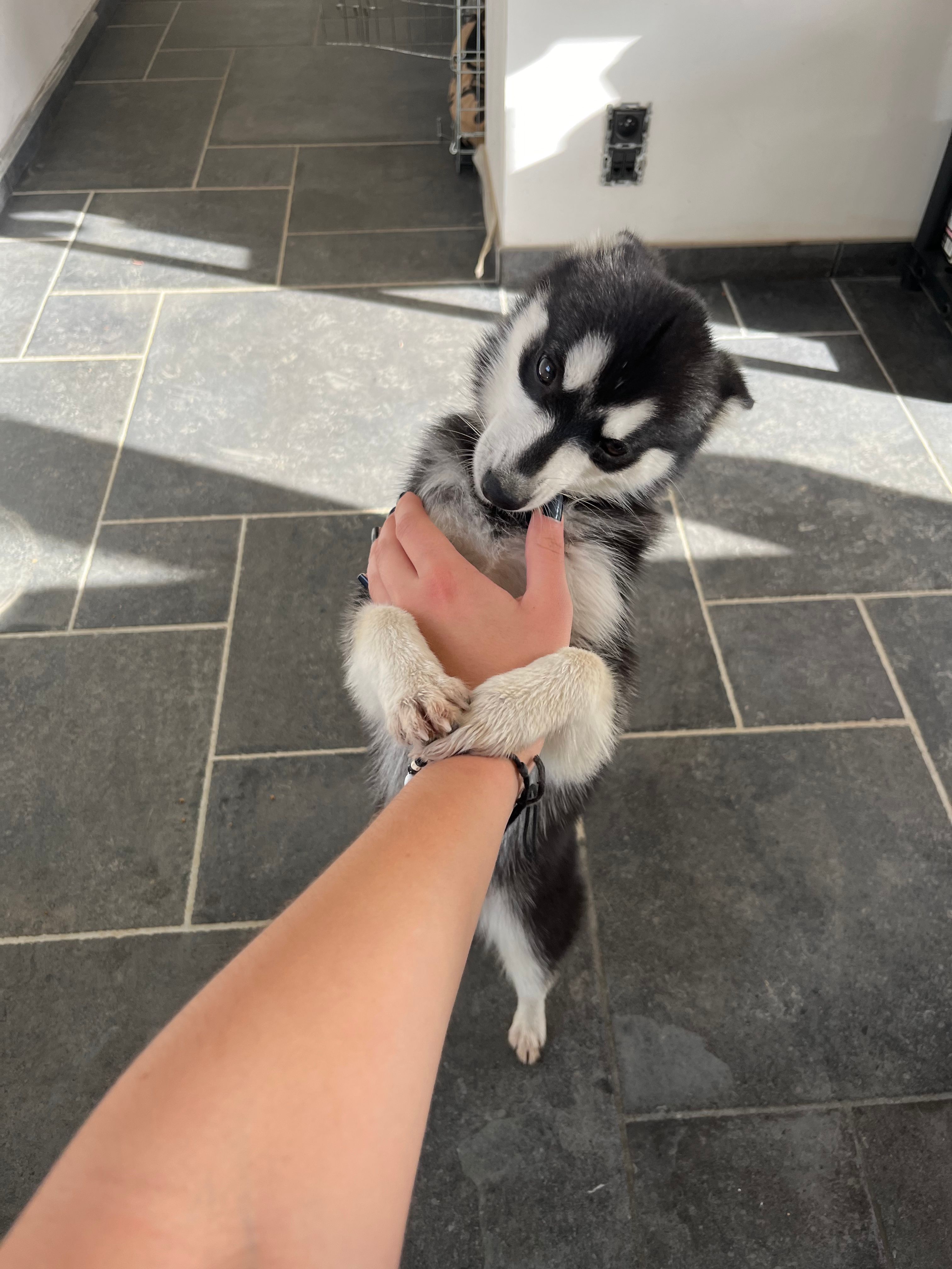 image-6