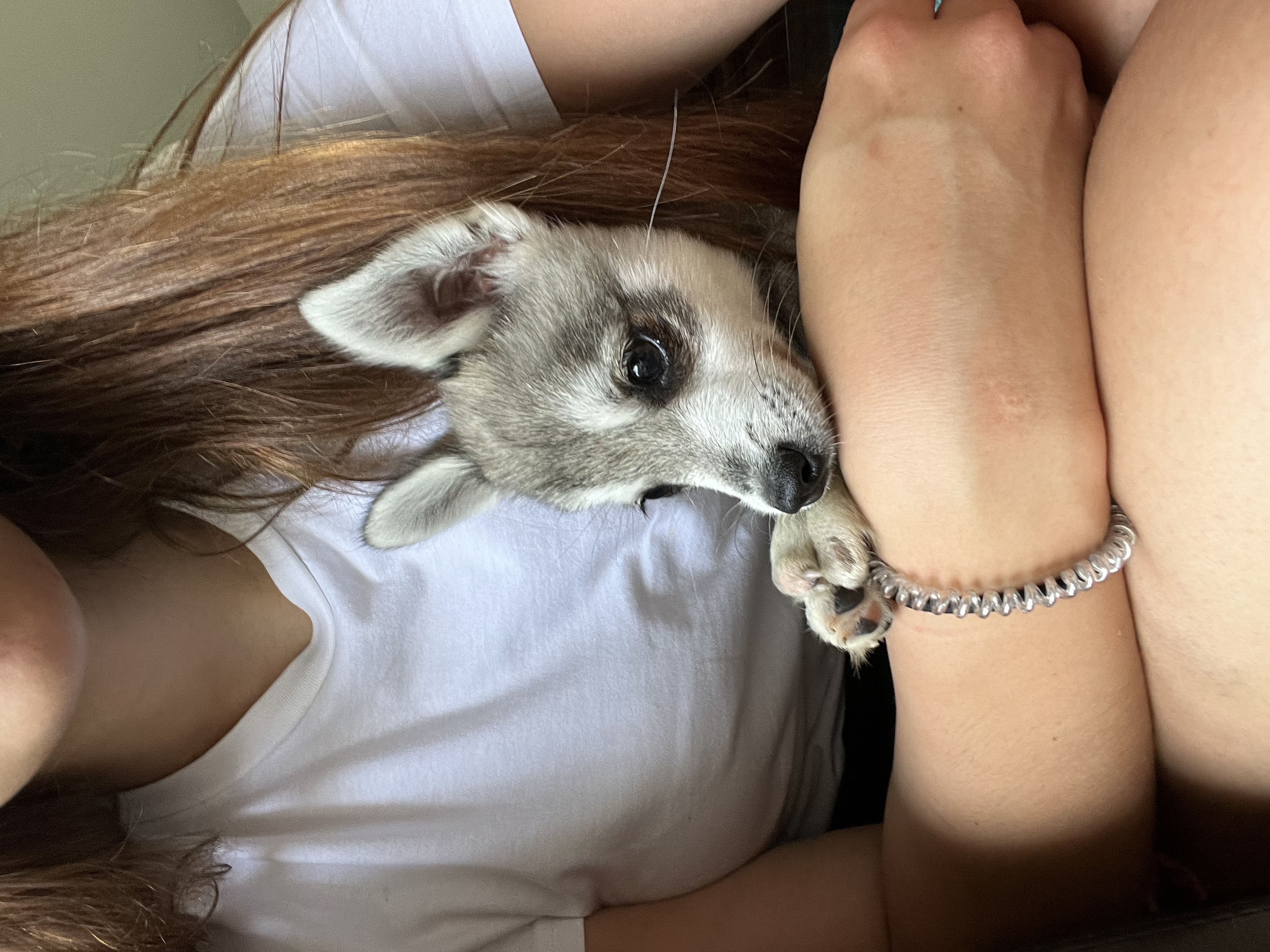 image-8