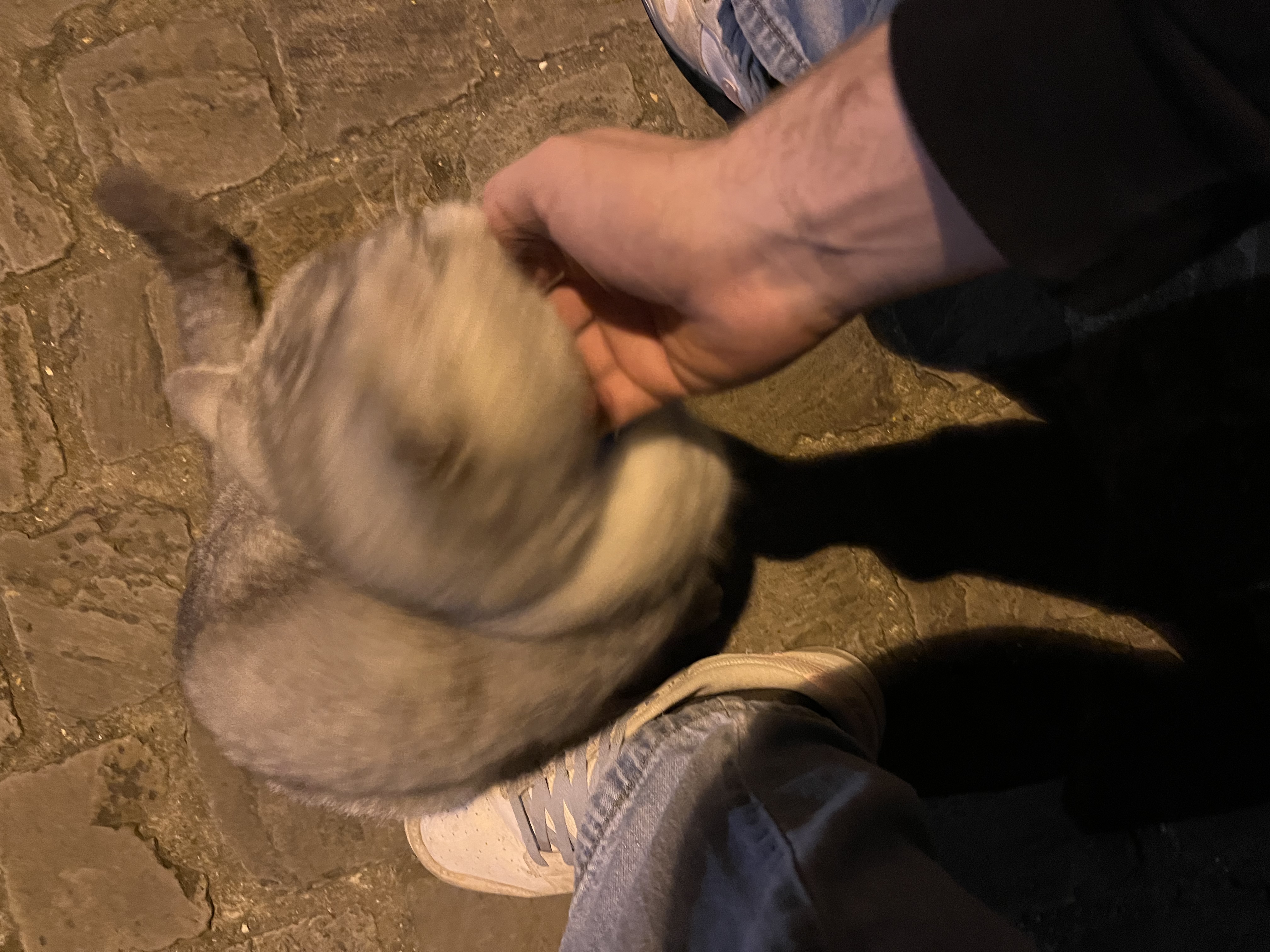 image-8