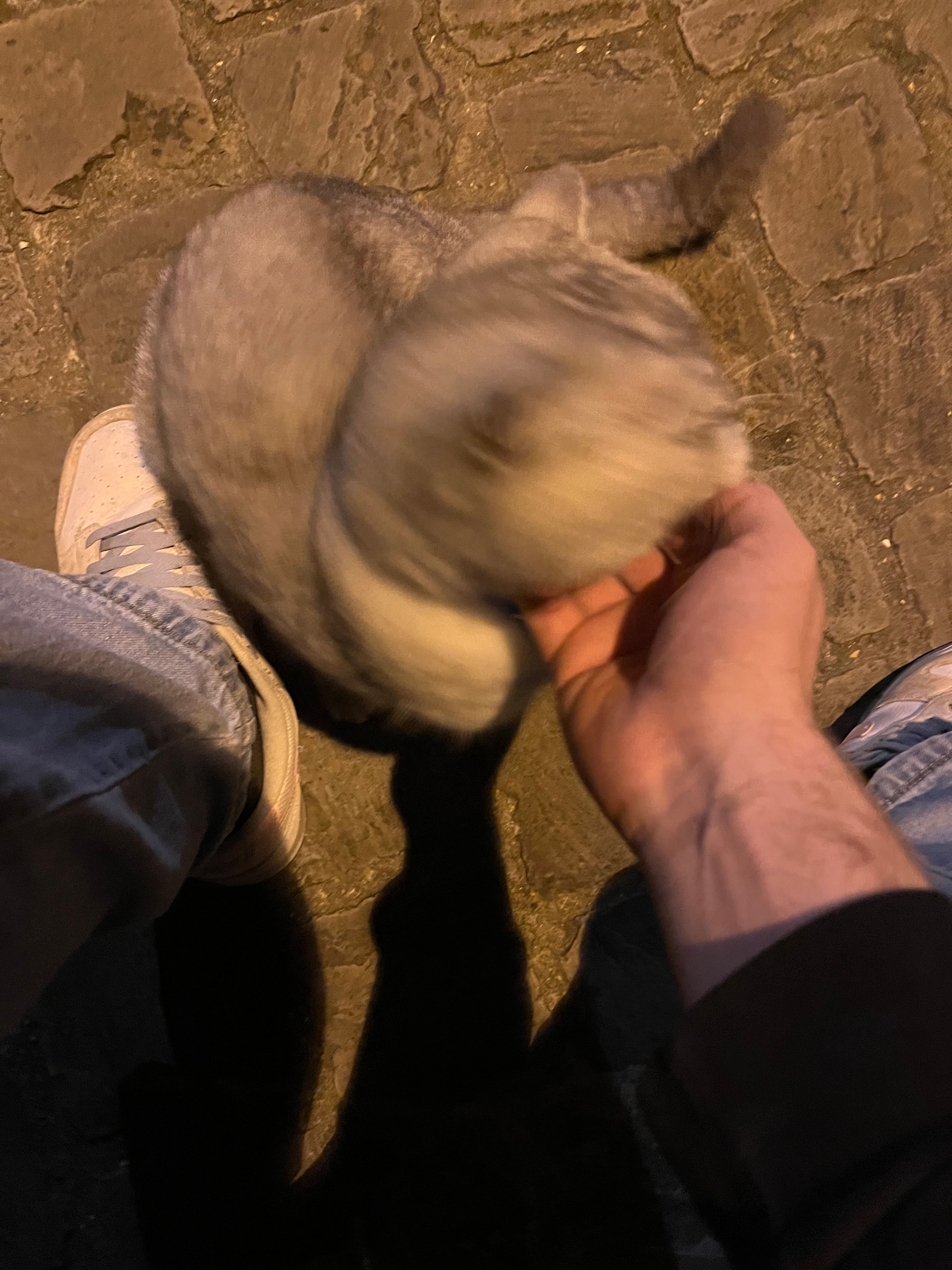 image-8