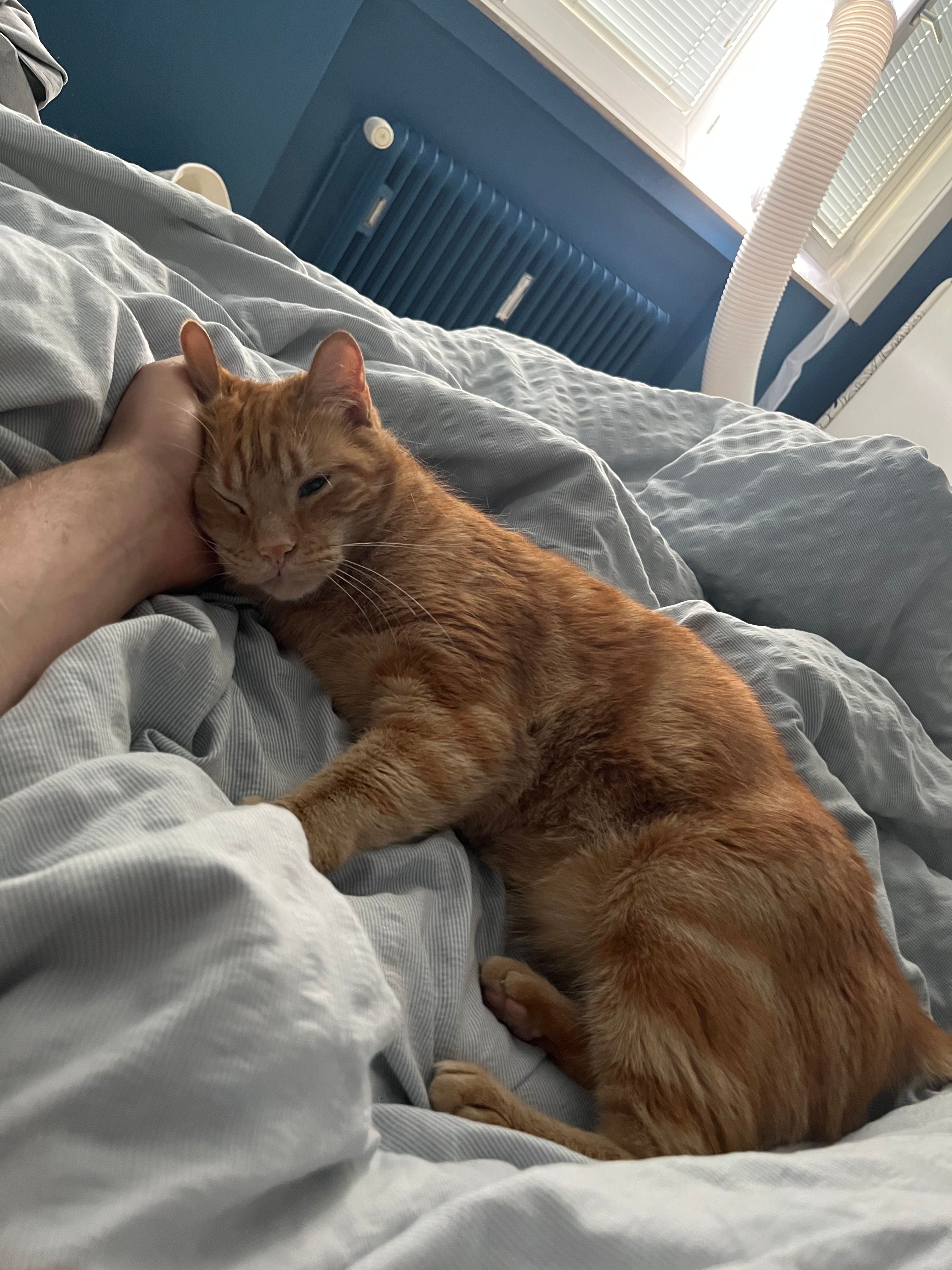 image-6