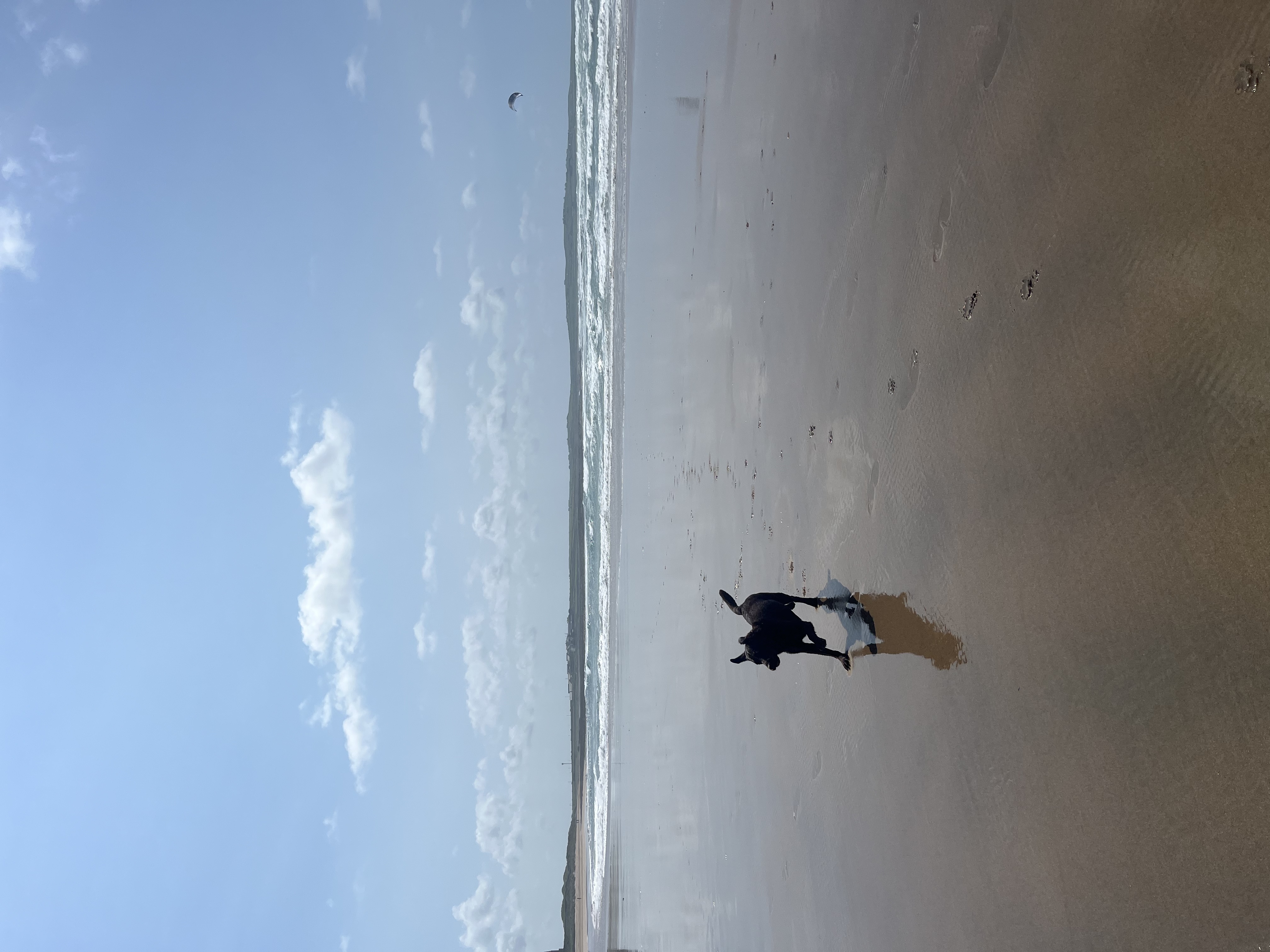 image-18