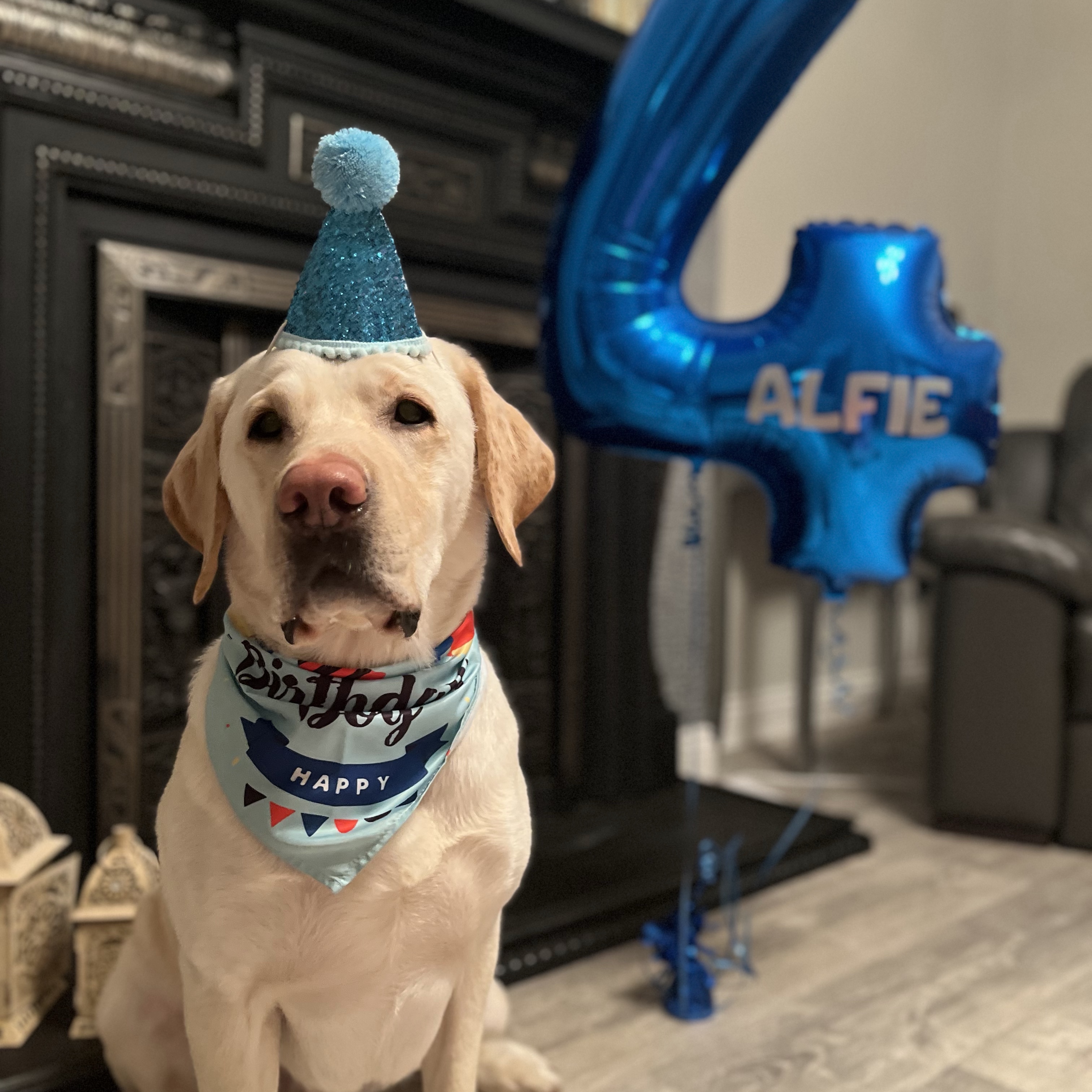 Alfie