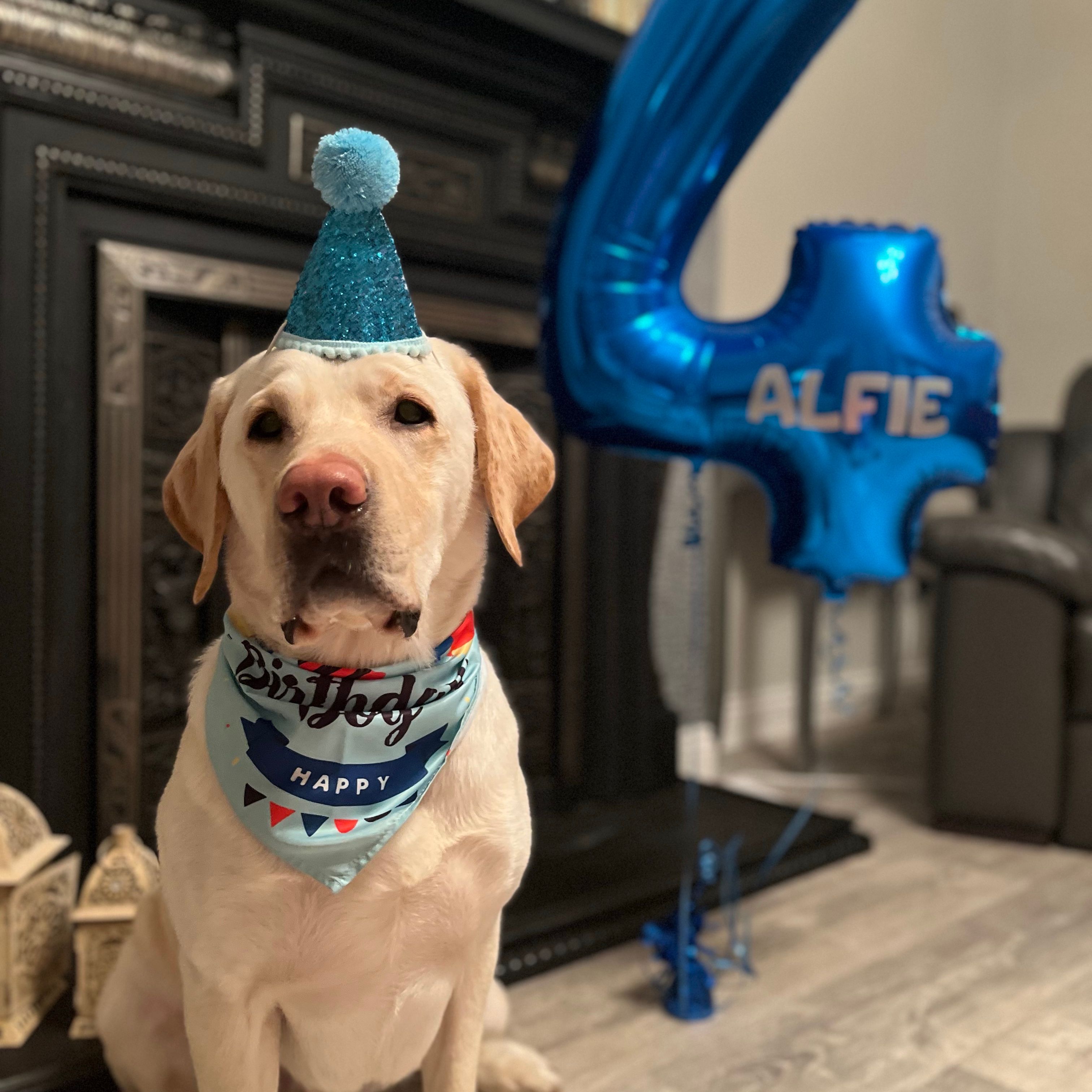 Alfie